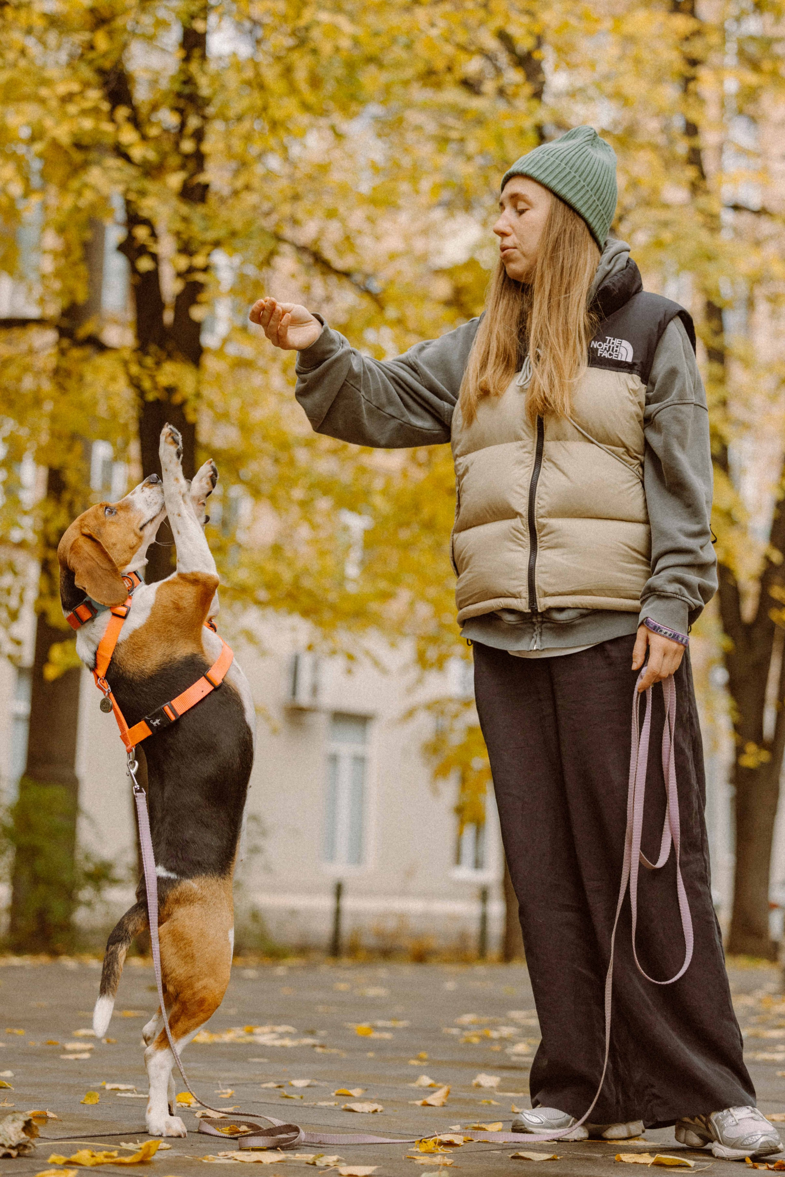 Света и Ива. Фотограф-анималист в Москве Лера Черноног