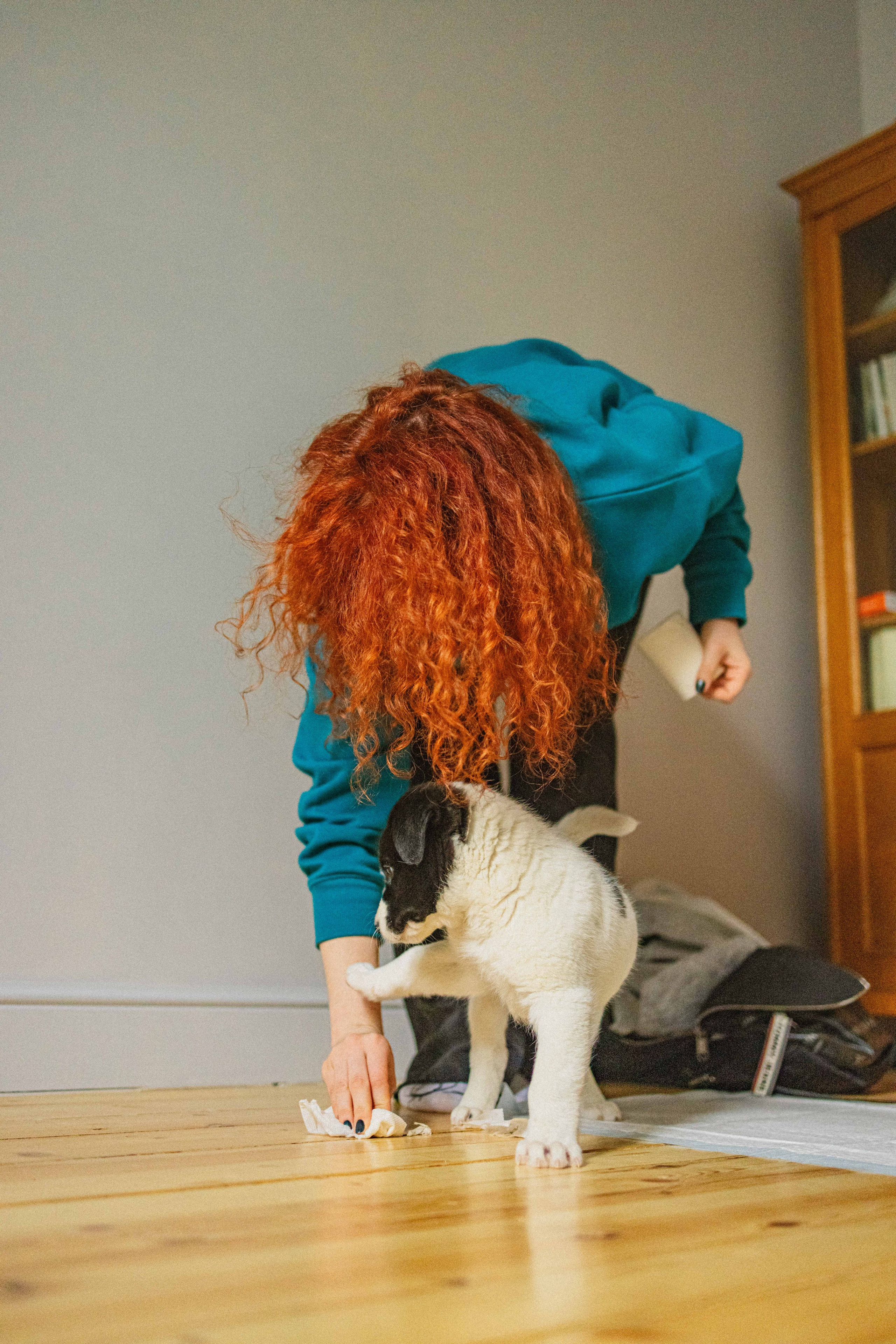 Щеночки. Фотограф-анималист в Москве Лера Черноног