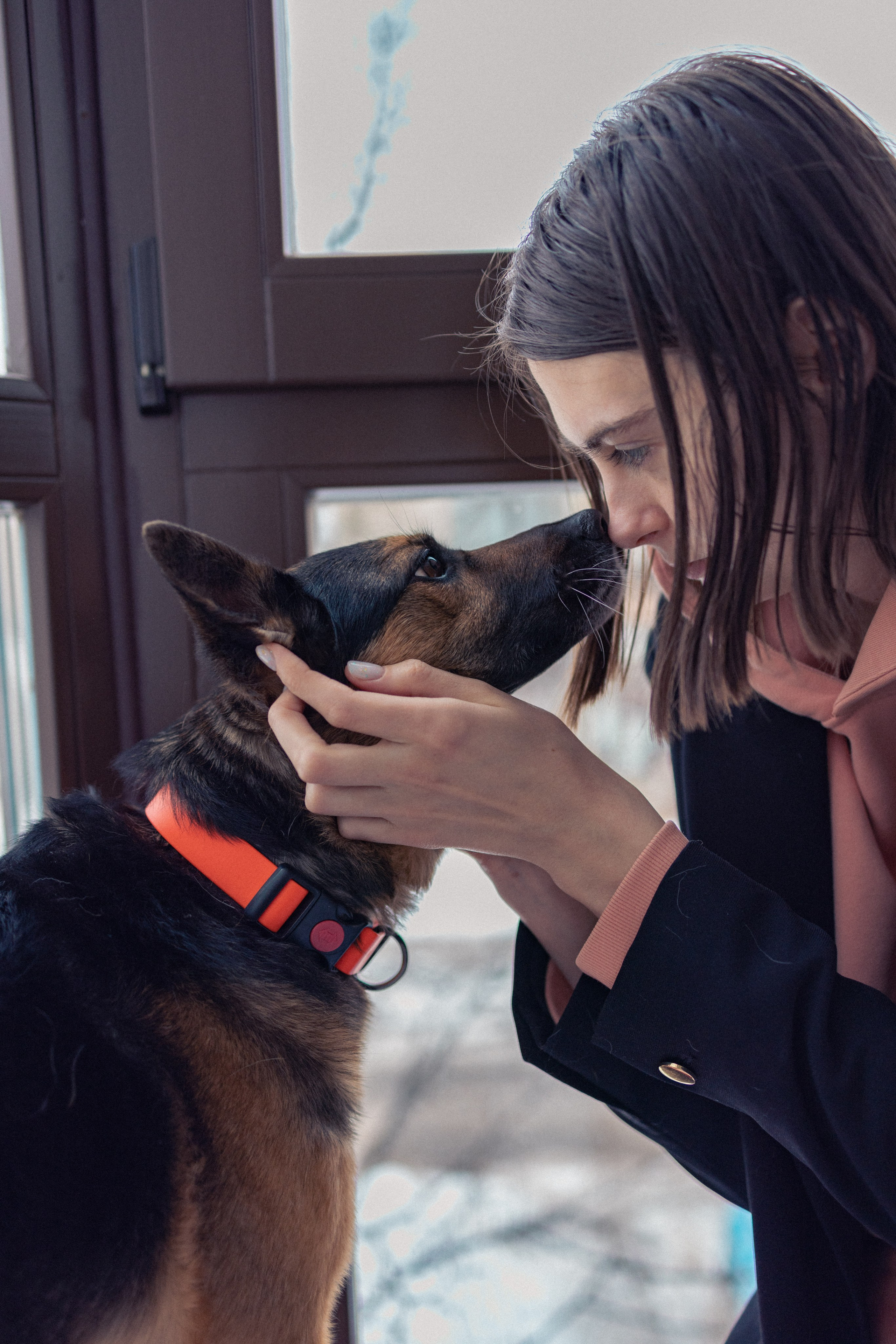 Ника, Матиша и Герда. Фотограф-анималист в Москве Лера Черноног