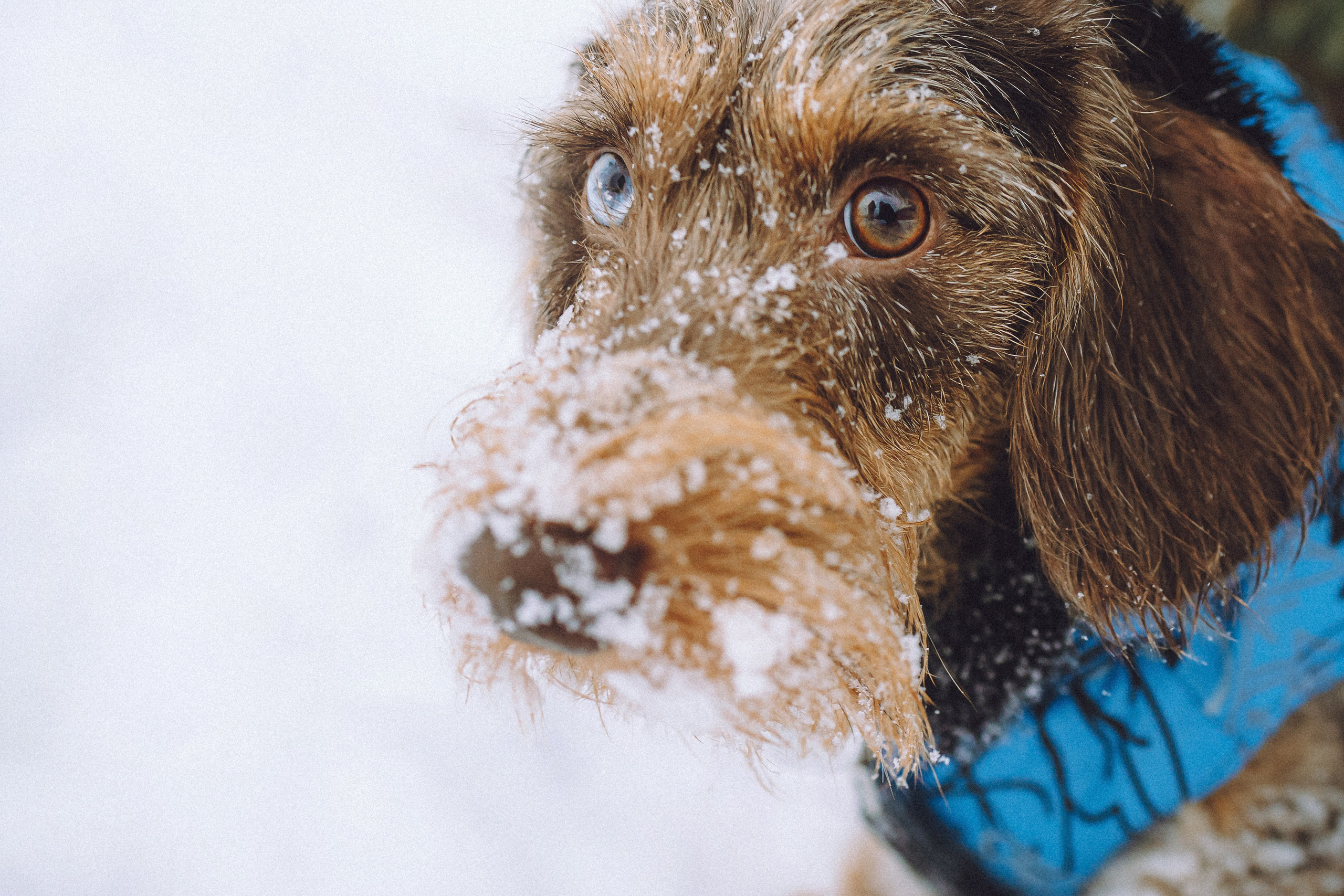 Каспер и его семья
