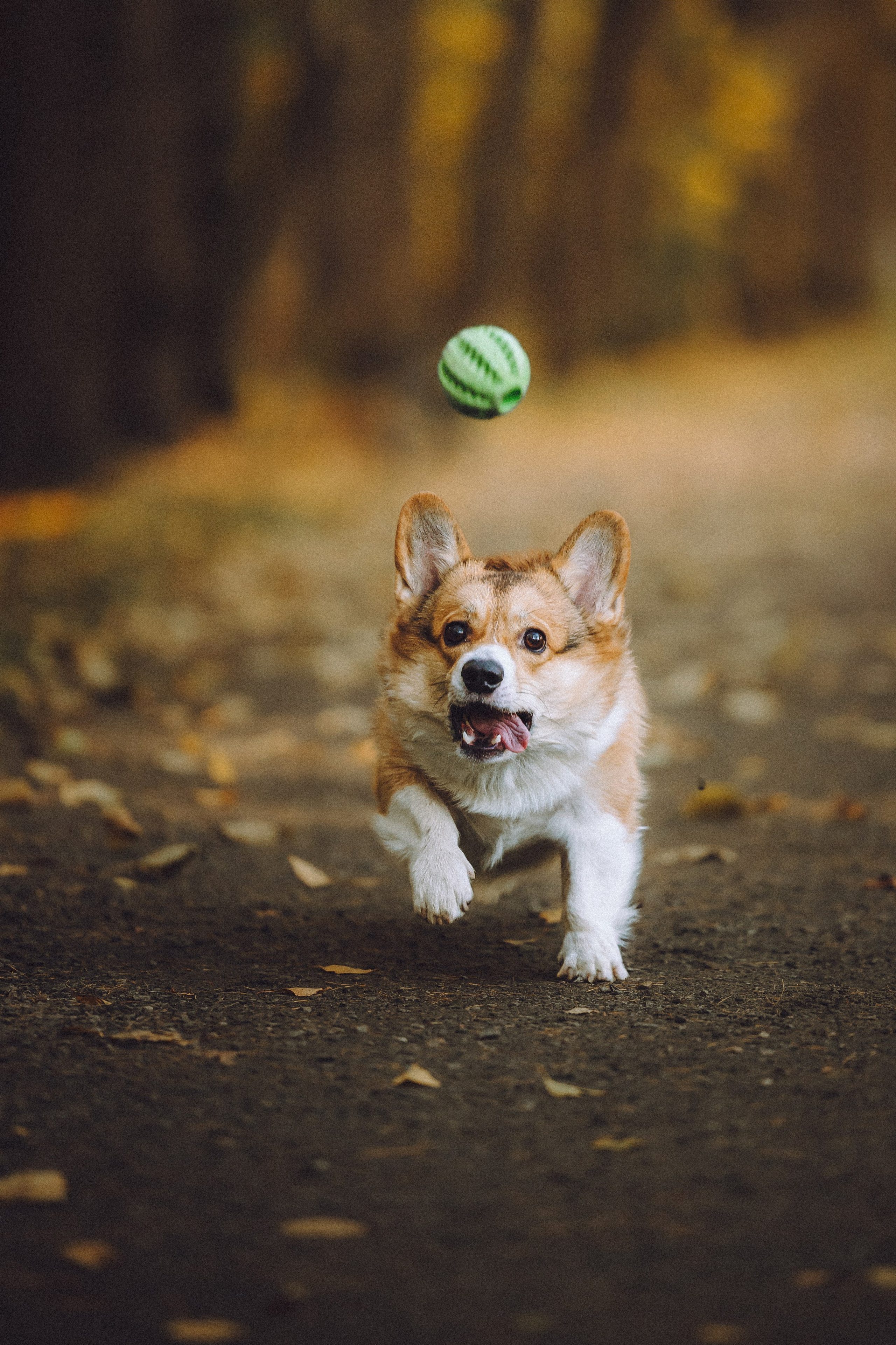 Карина, Даня и Аркаша