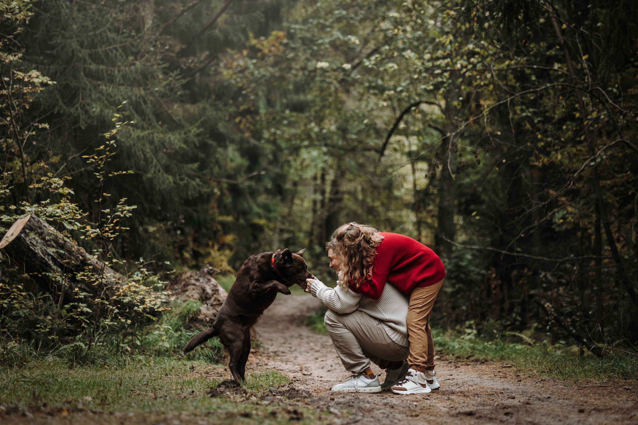 Девочки и их семья. Фотограф — Анималист | Санкт-Петербург