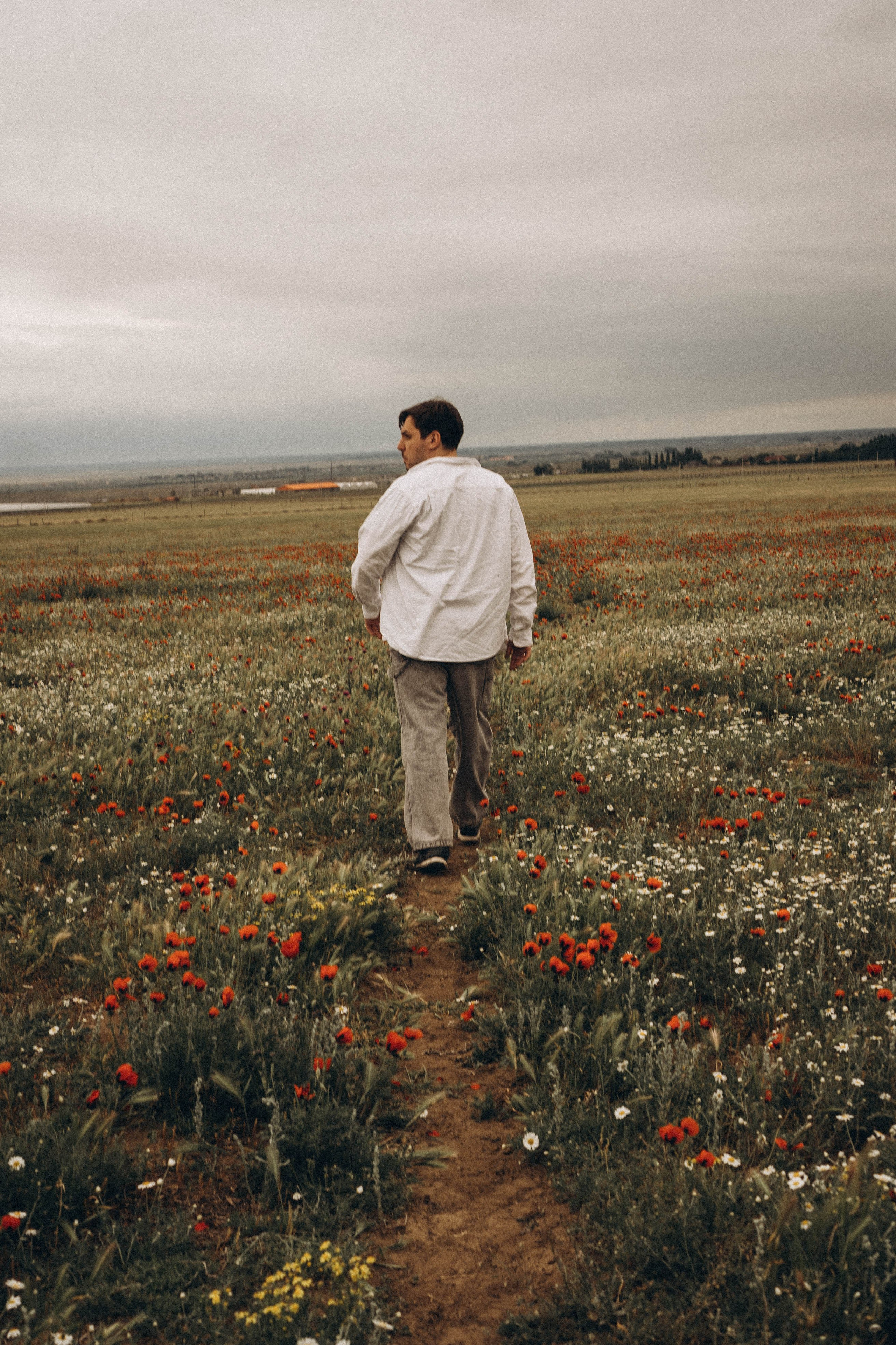 Маки. Профессиональный фотограф, Санкт-Петербург — Виктория Богомолова