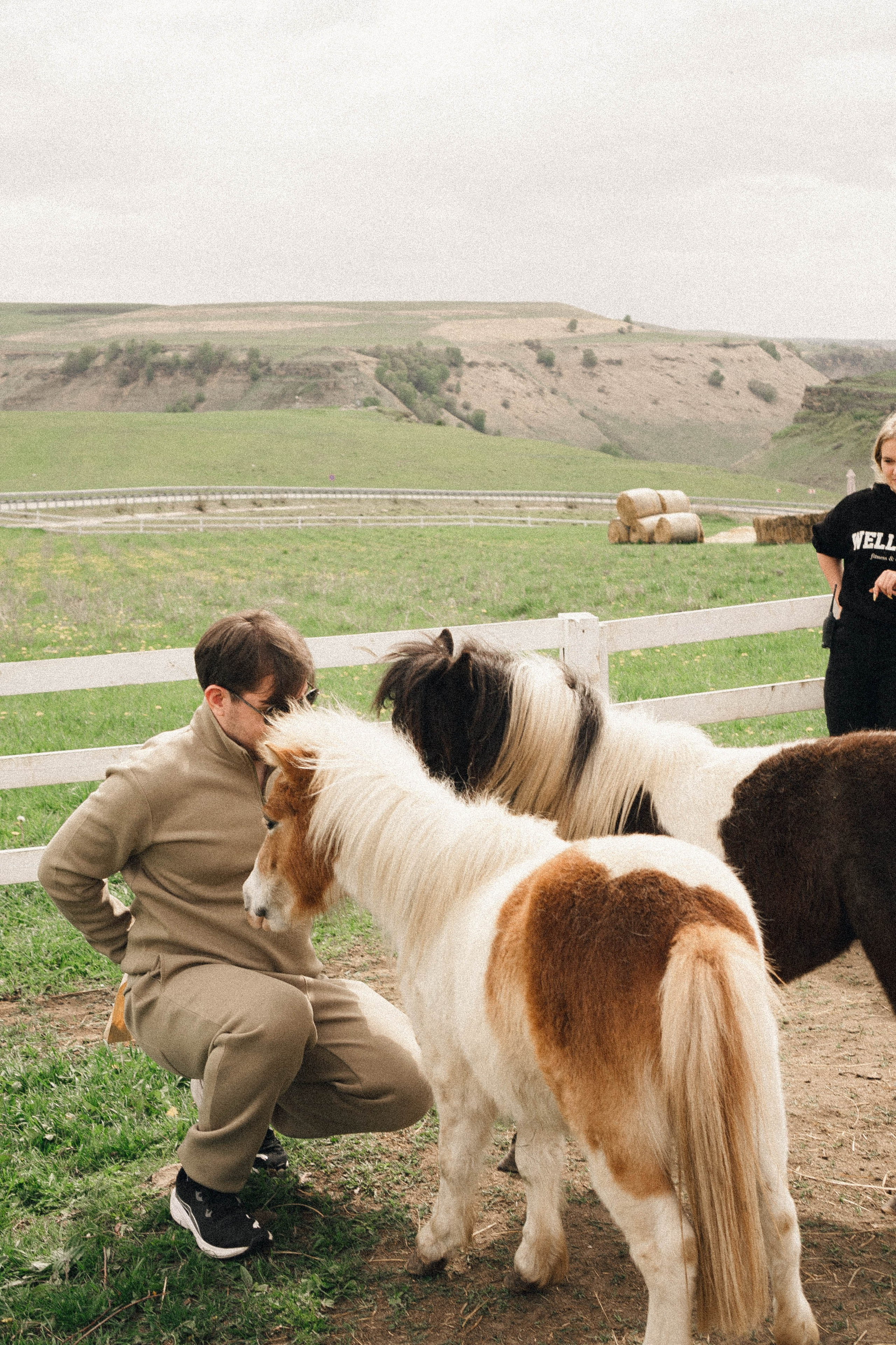 Ферма Альпак. Профессиональный фотограф, Санкт-Петербург — Виктория Богомолова
