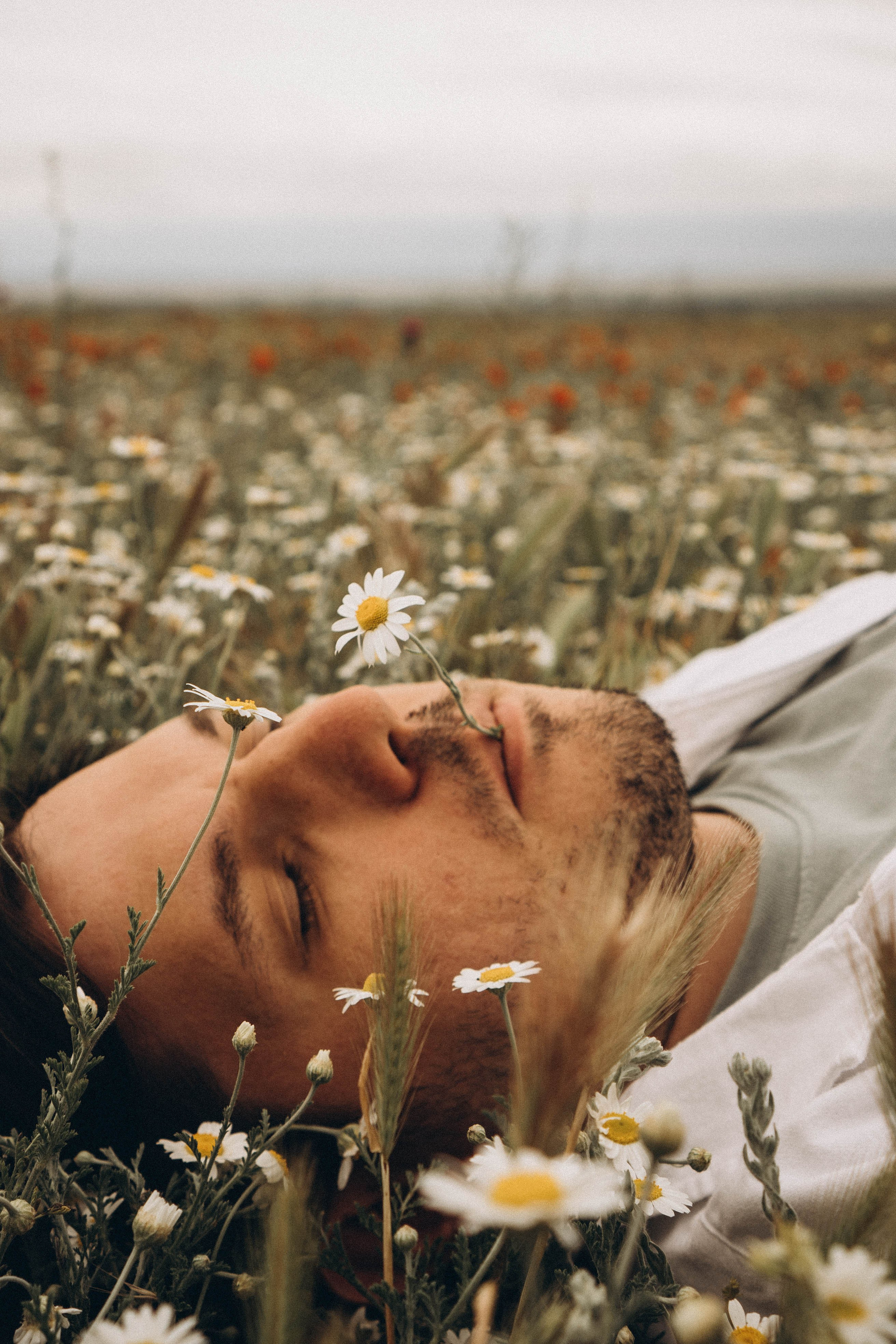 Маки. Профессиональный фотограф, Санкт-Петербург — Виктория Богомолова