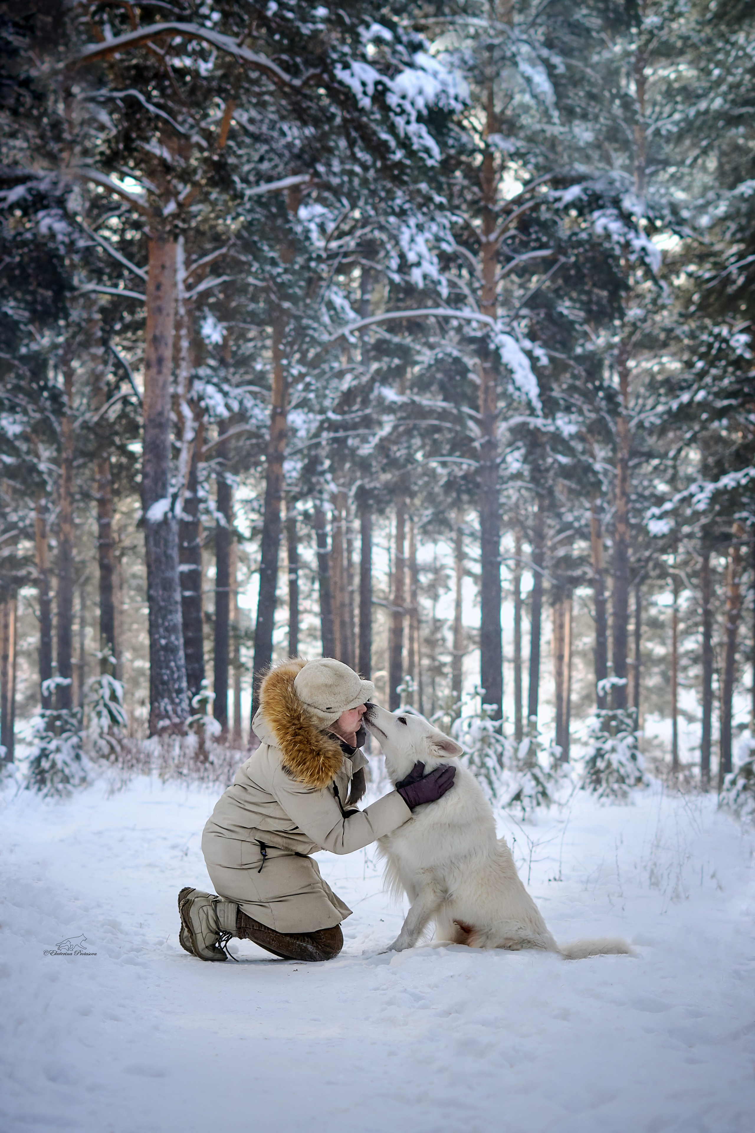 Ксения и ее овчарки. Фотограф-анималист в Иркутске