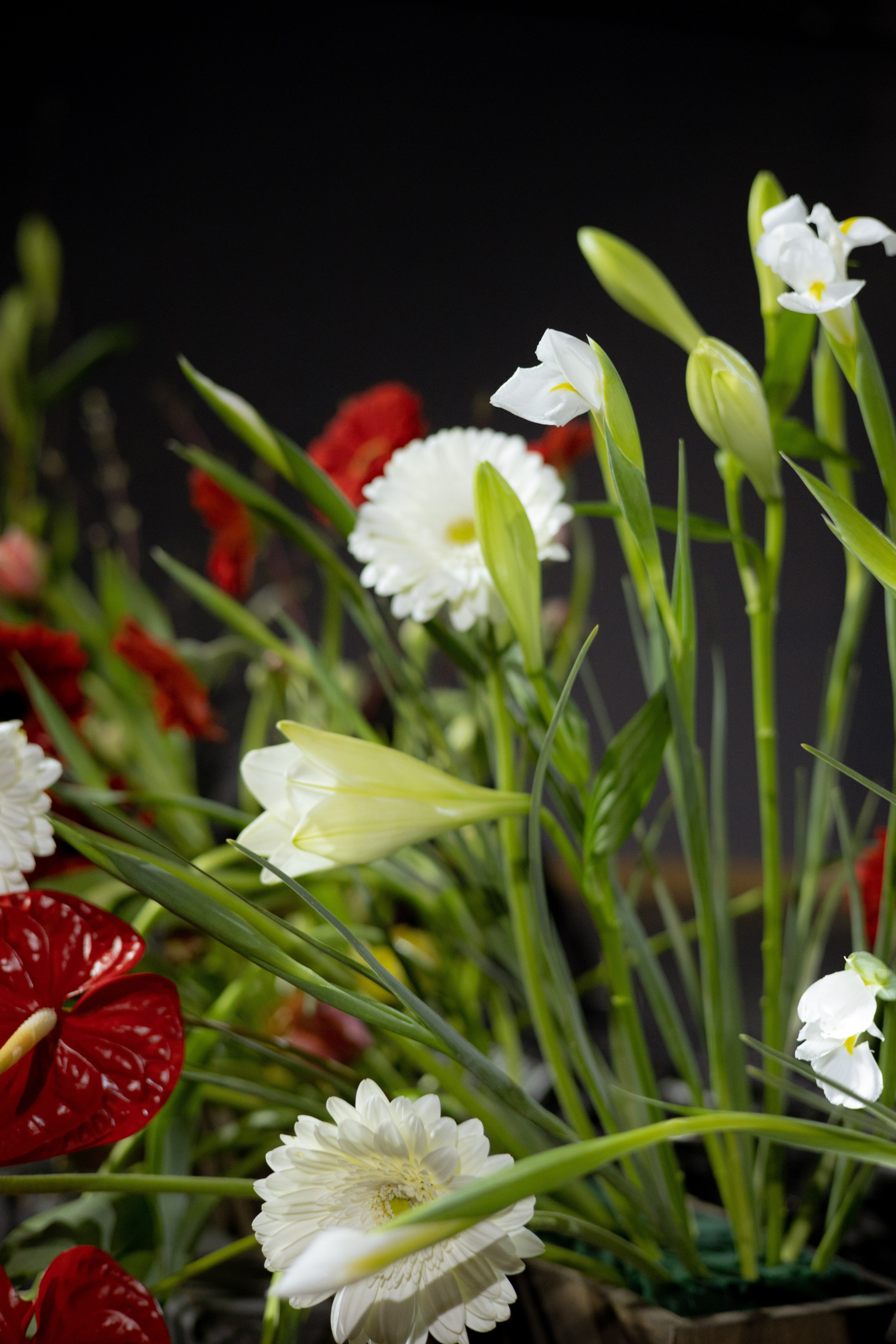 Оформление Отчетного концерта Музыкальной школы Глазунова. Оформление свадеб, декор свадеб Вера Маркова, Москва