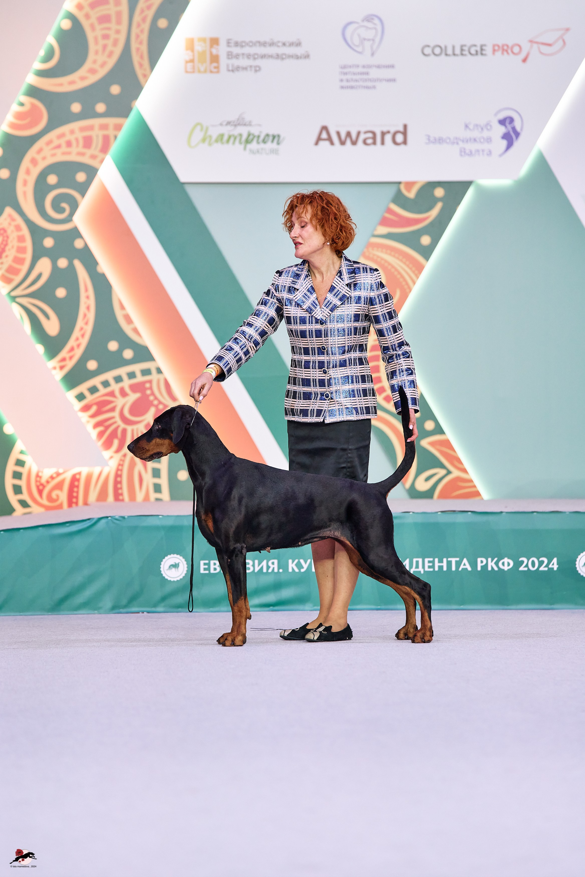 17.11.2024 «ЕВРАЗИЯ. КУБОК СНГ 2024»