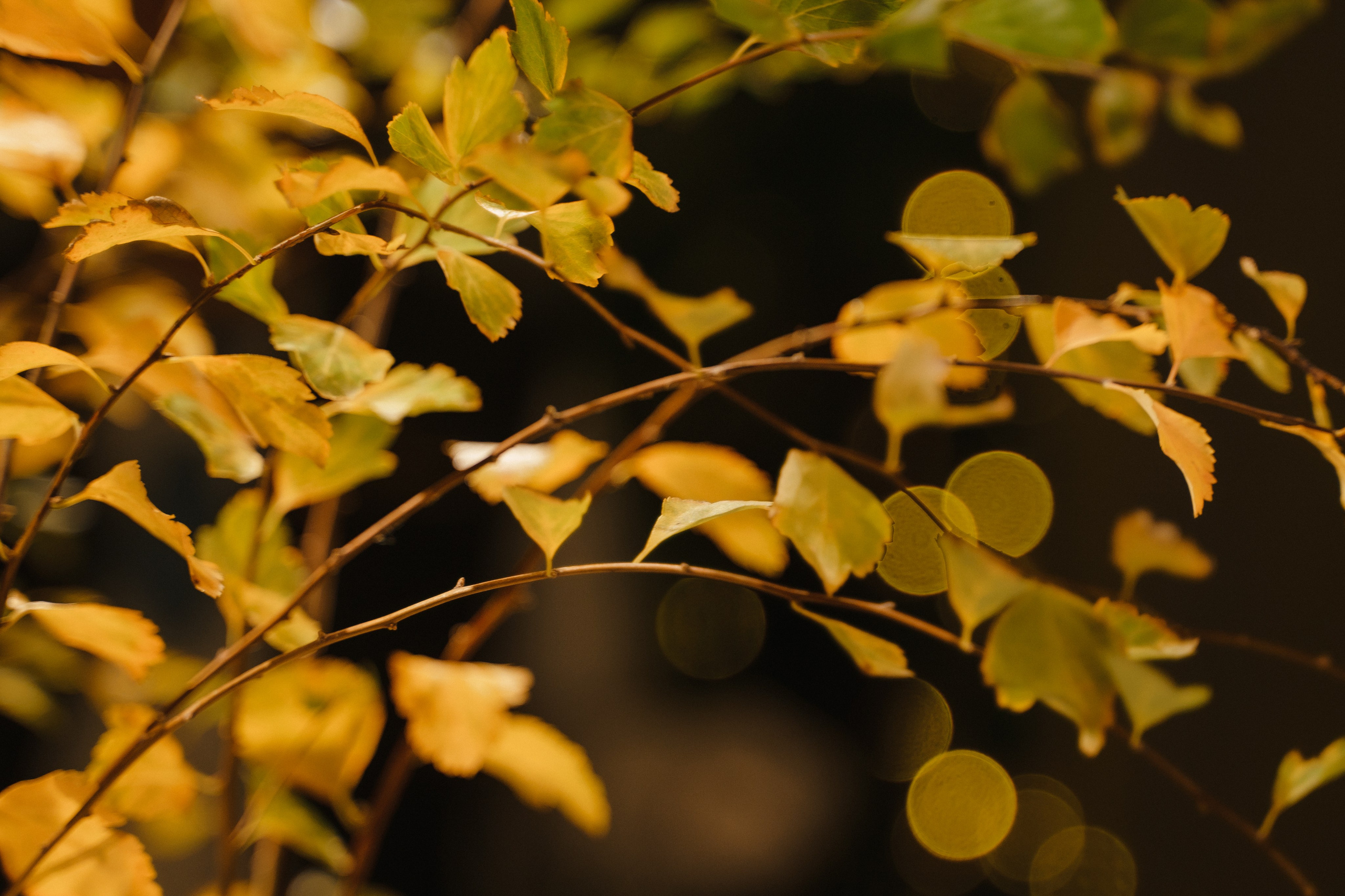 События. Главная