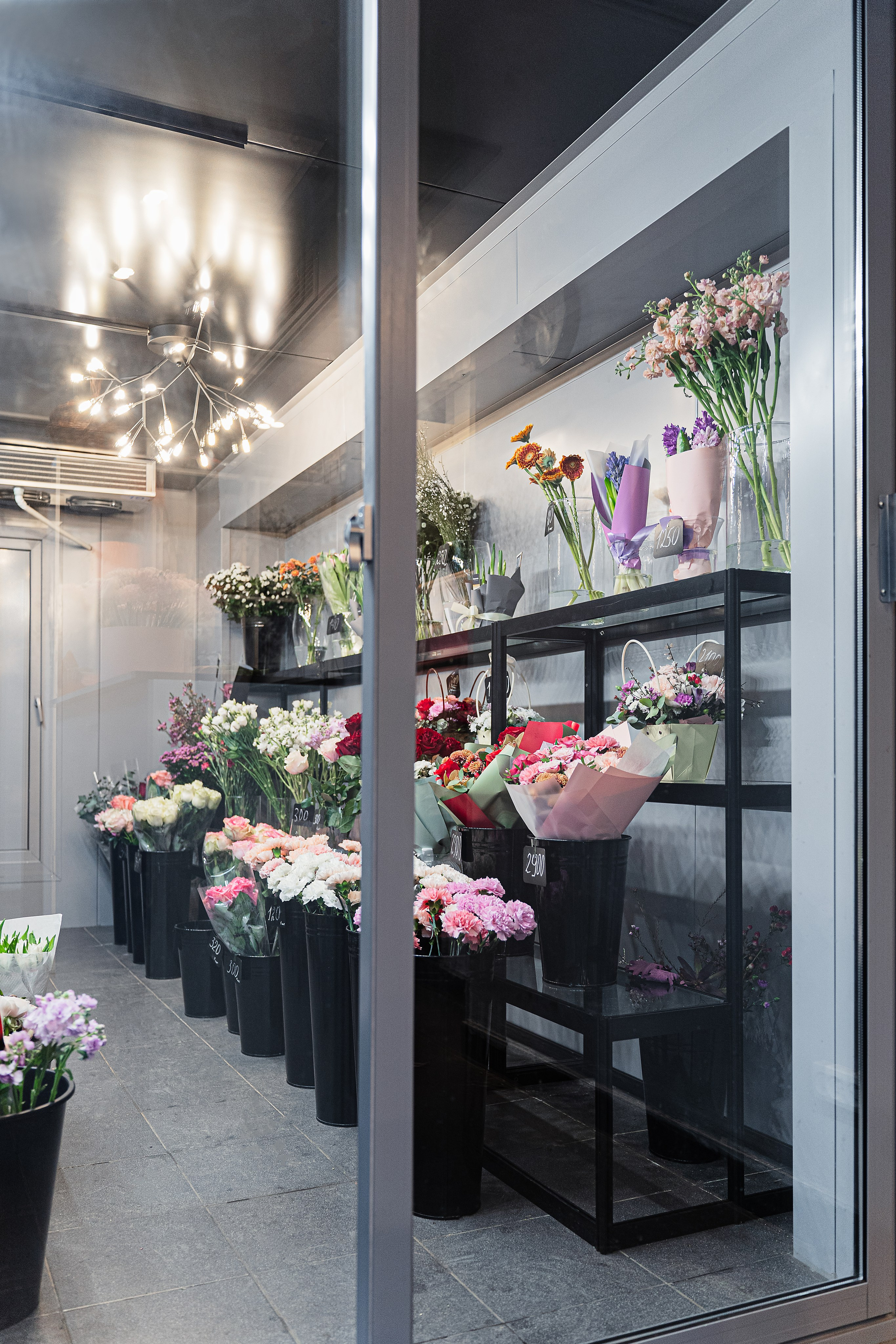 Регион холод. Елена Пашкевич, фотограф, Москва