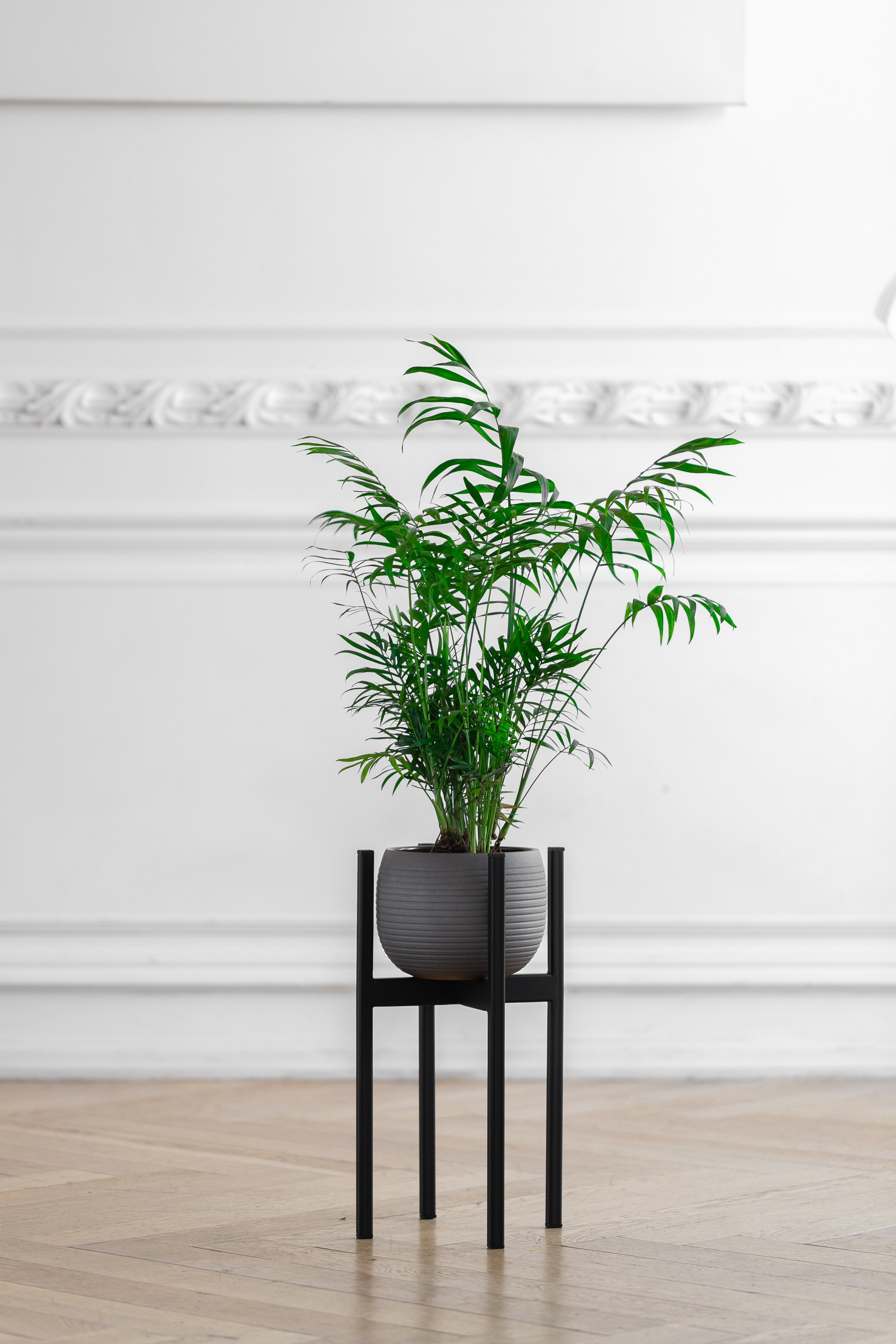 GREENWEEN. Дизайнерская мебель. Интерьерный фотограф и видеограф в Санкт-Петербурге Вадим Балбашевский