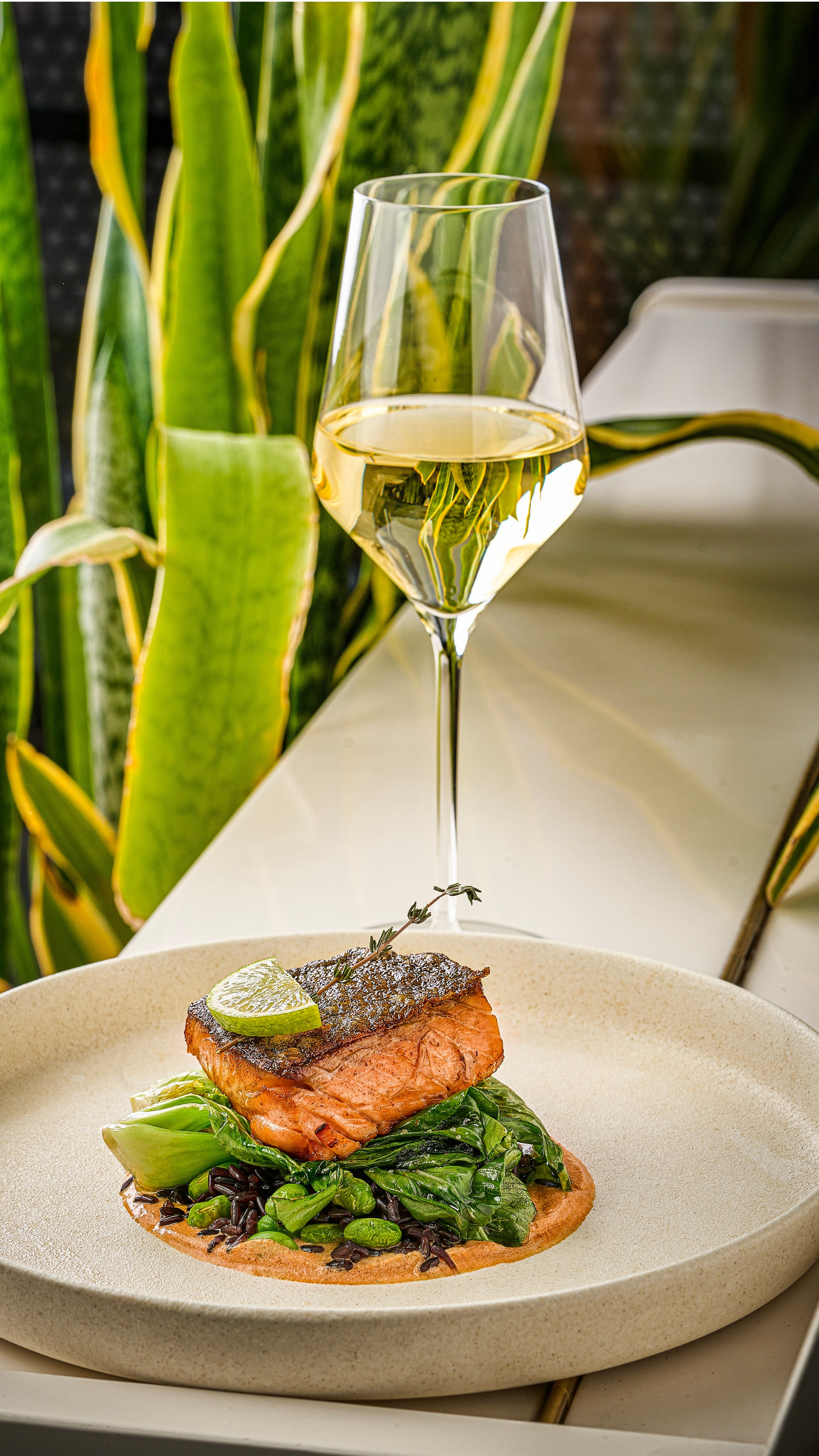 Меню и бар. Cheese Food Photo — Предметная и фуд фотосъёмка в Белгороде