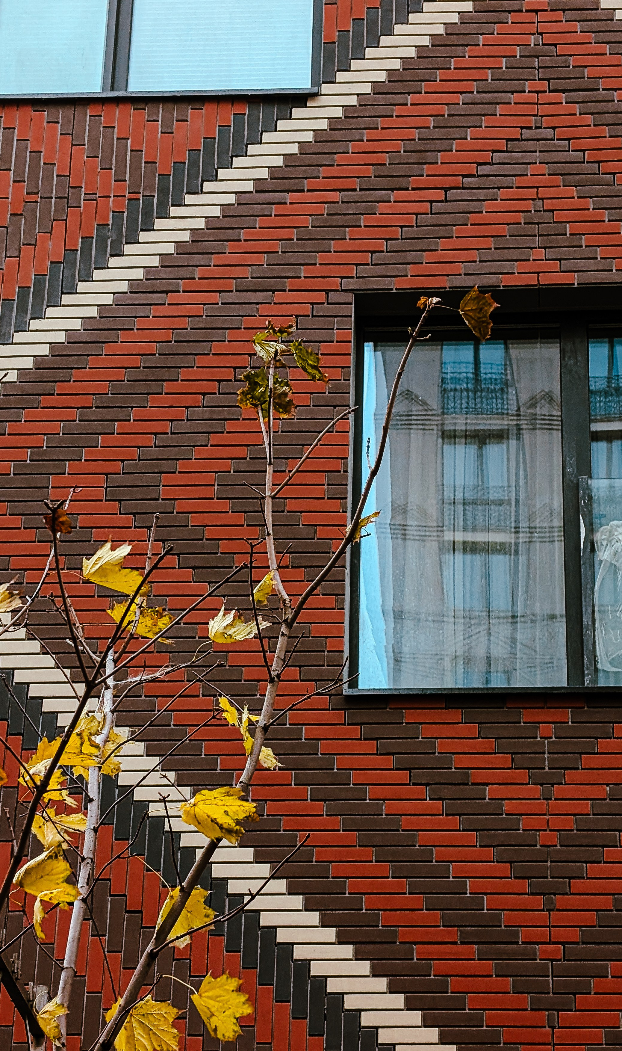 Мобильная фотография. Интерьерный и портретный фотограф в Москве Анна Моногарова