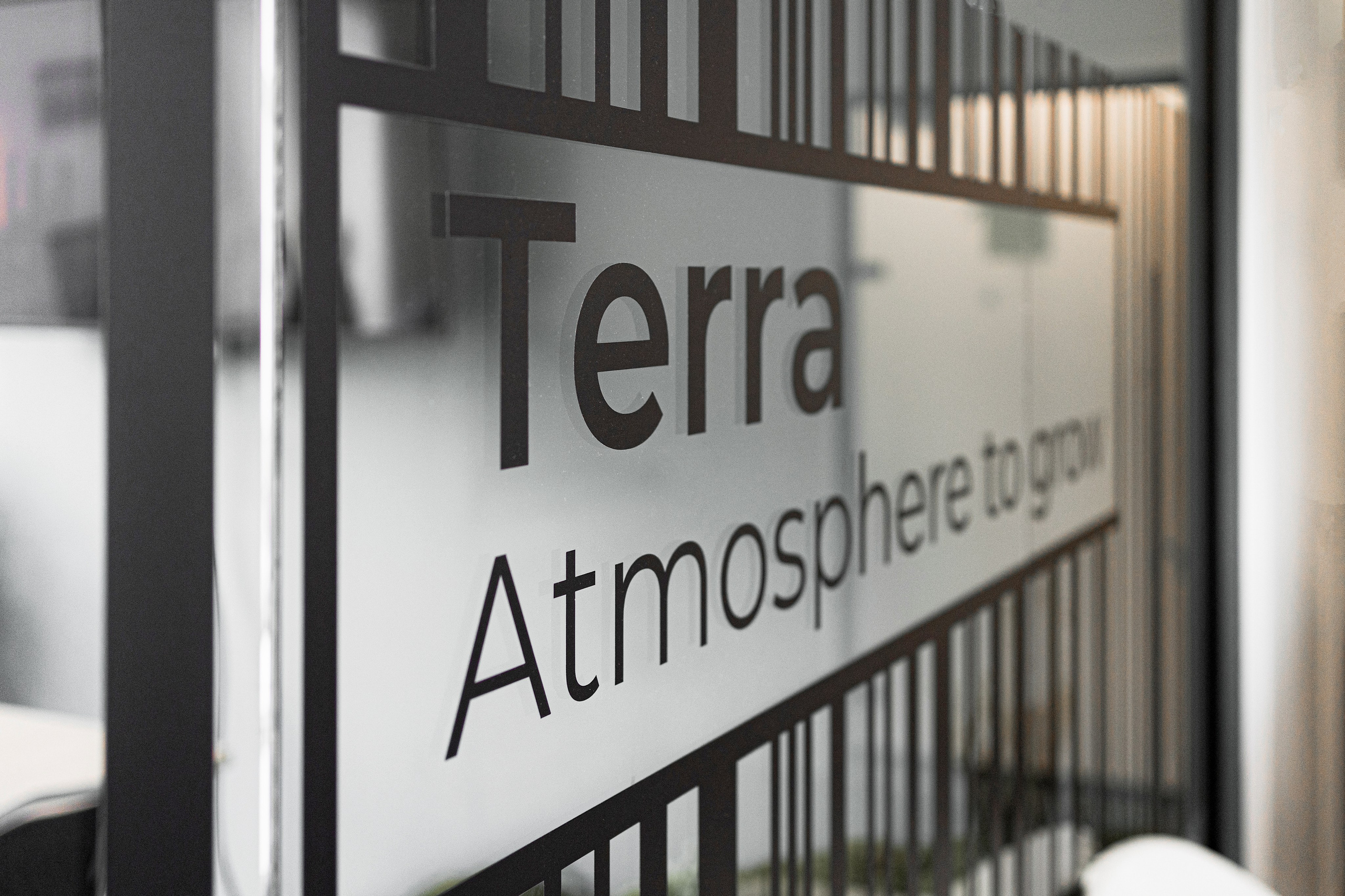 Terra. Елена Пашкевич, фотограф, Москва