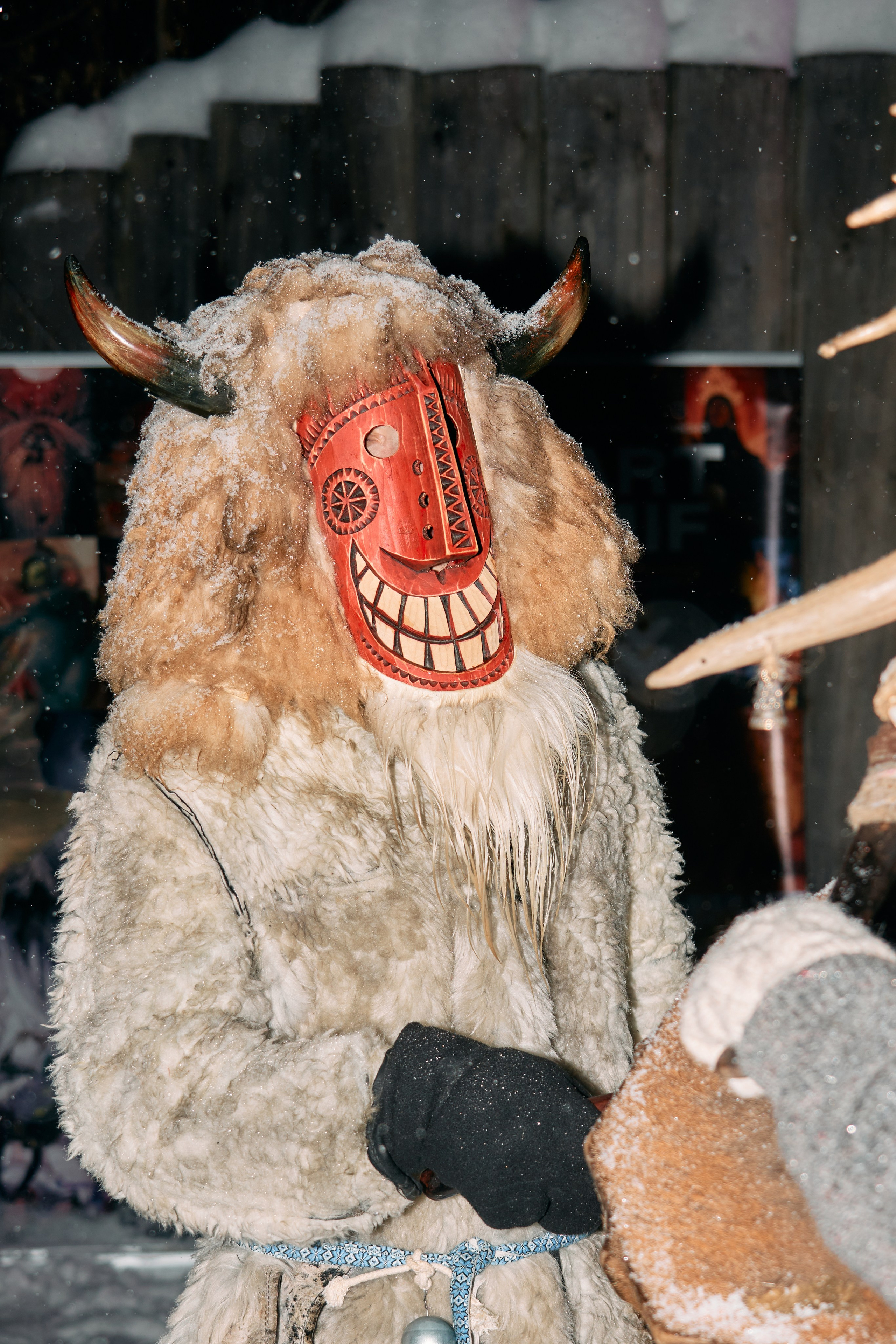 С медведем по соседям. Фотограф