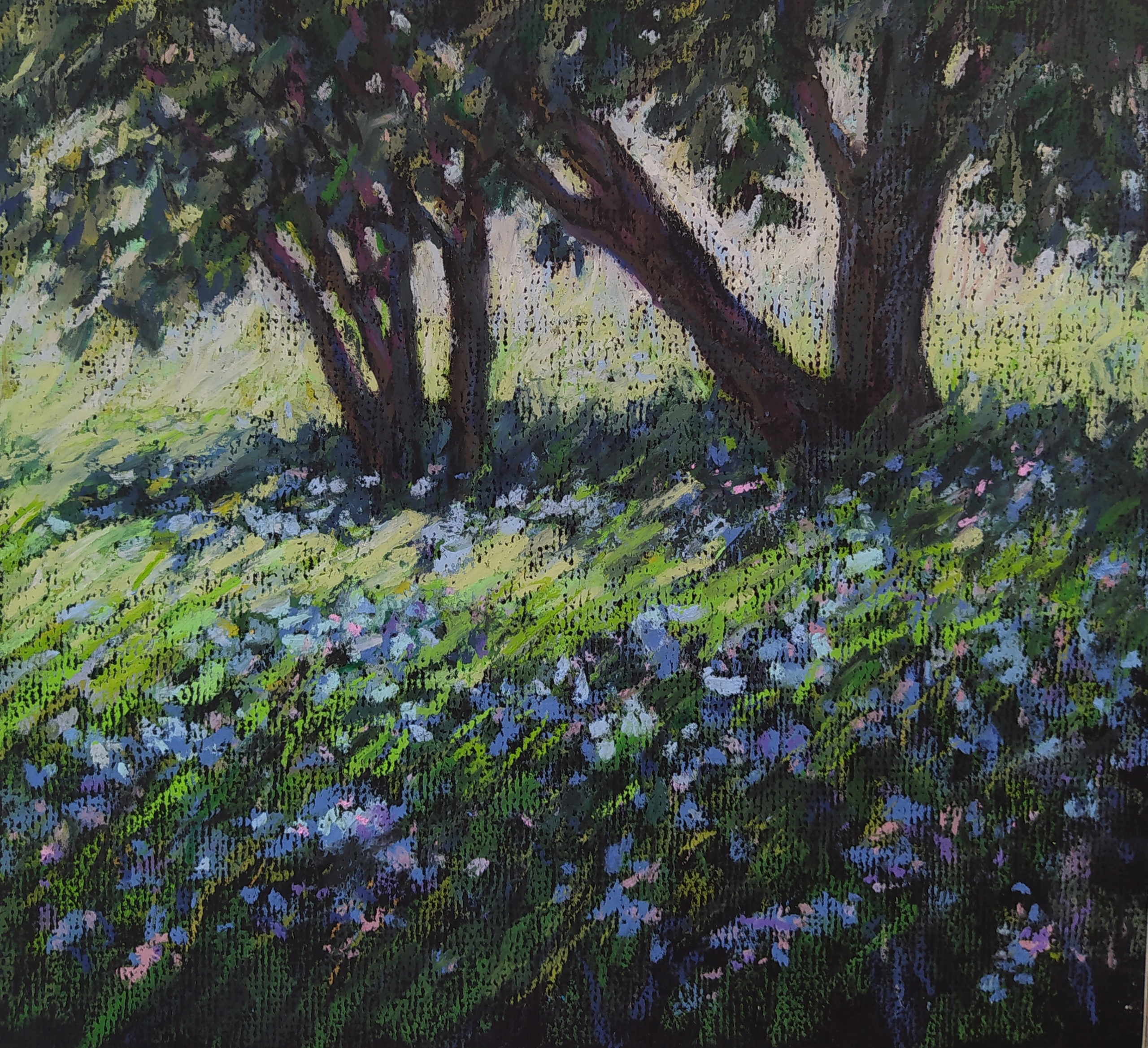 Пейзаж масляной пастелью, рисунок - Нежные голубые цветы в траве