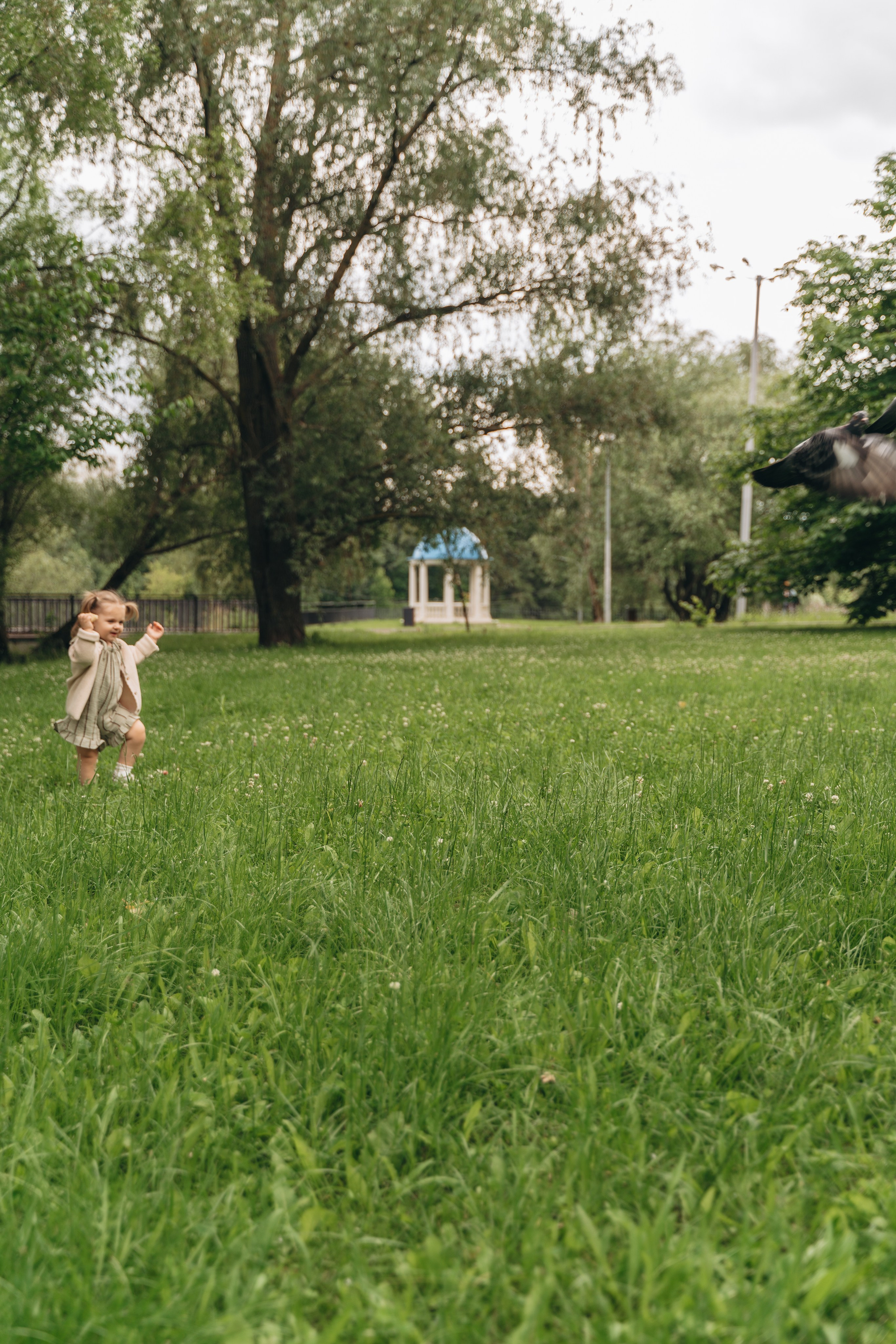 НЕЖНЕЕ НЕЖНОГО. FotoTanya. Раменское/Жуковский/Бронницы