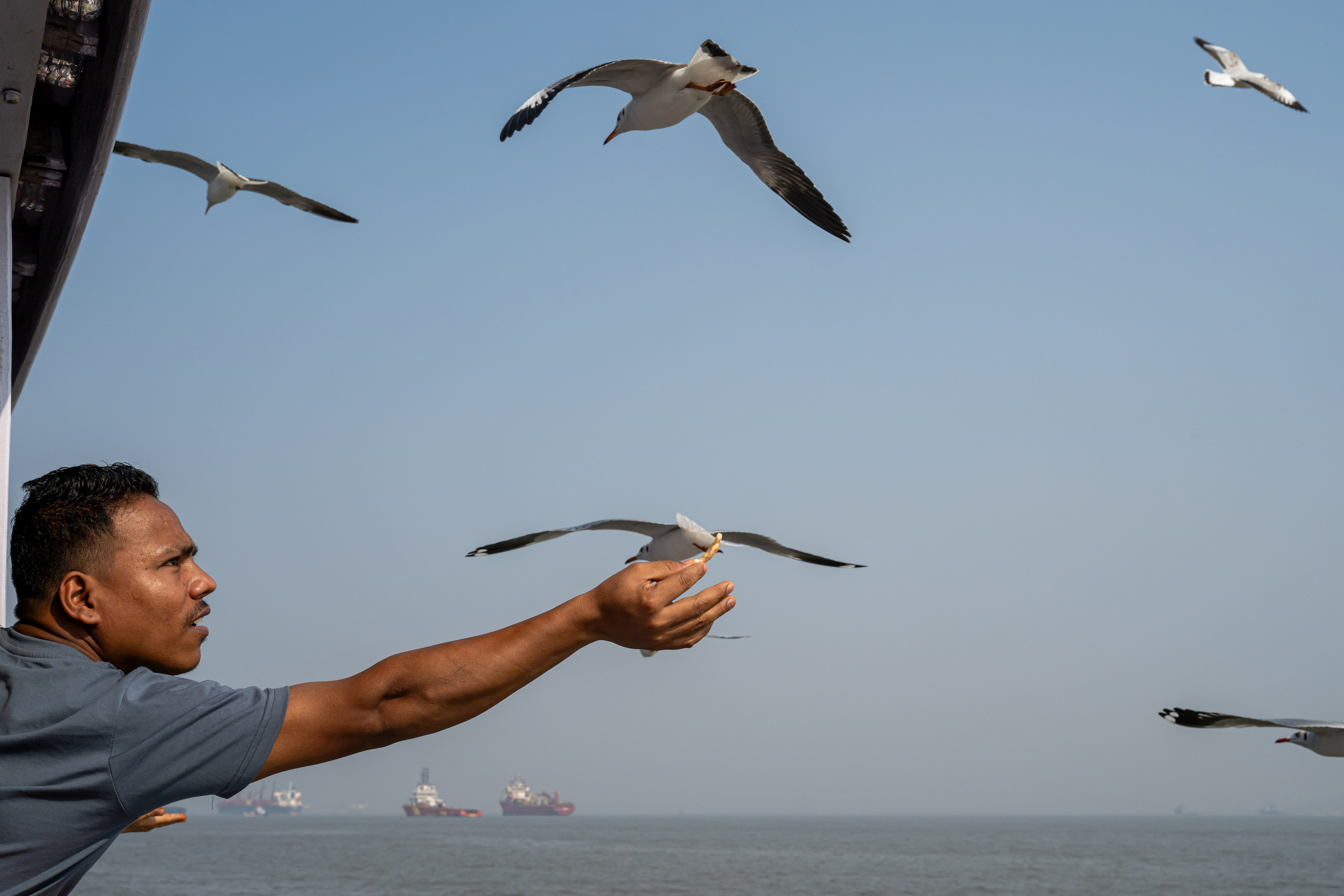 India 2024-2025. Dimitri Bakhtadze photographer