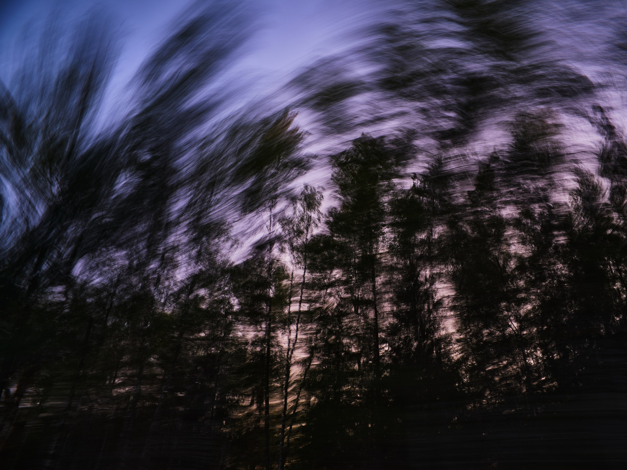 Фотограф Юлия Глазкова