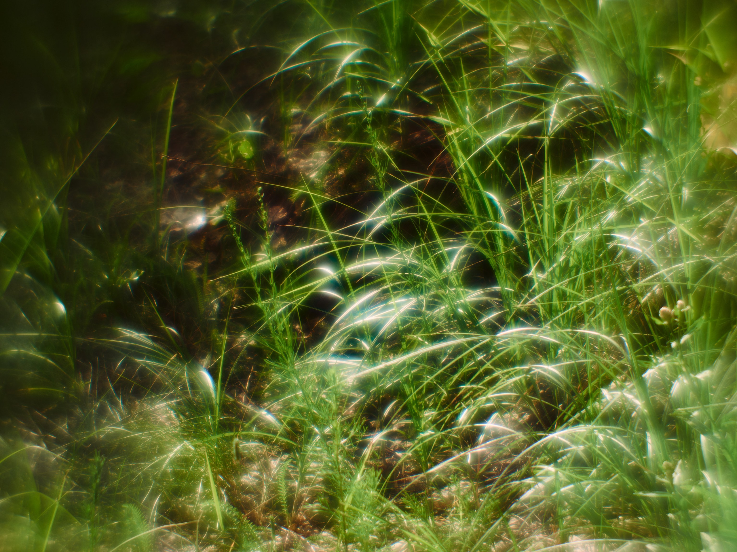 Фотограф Юлия Глазкова