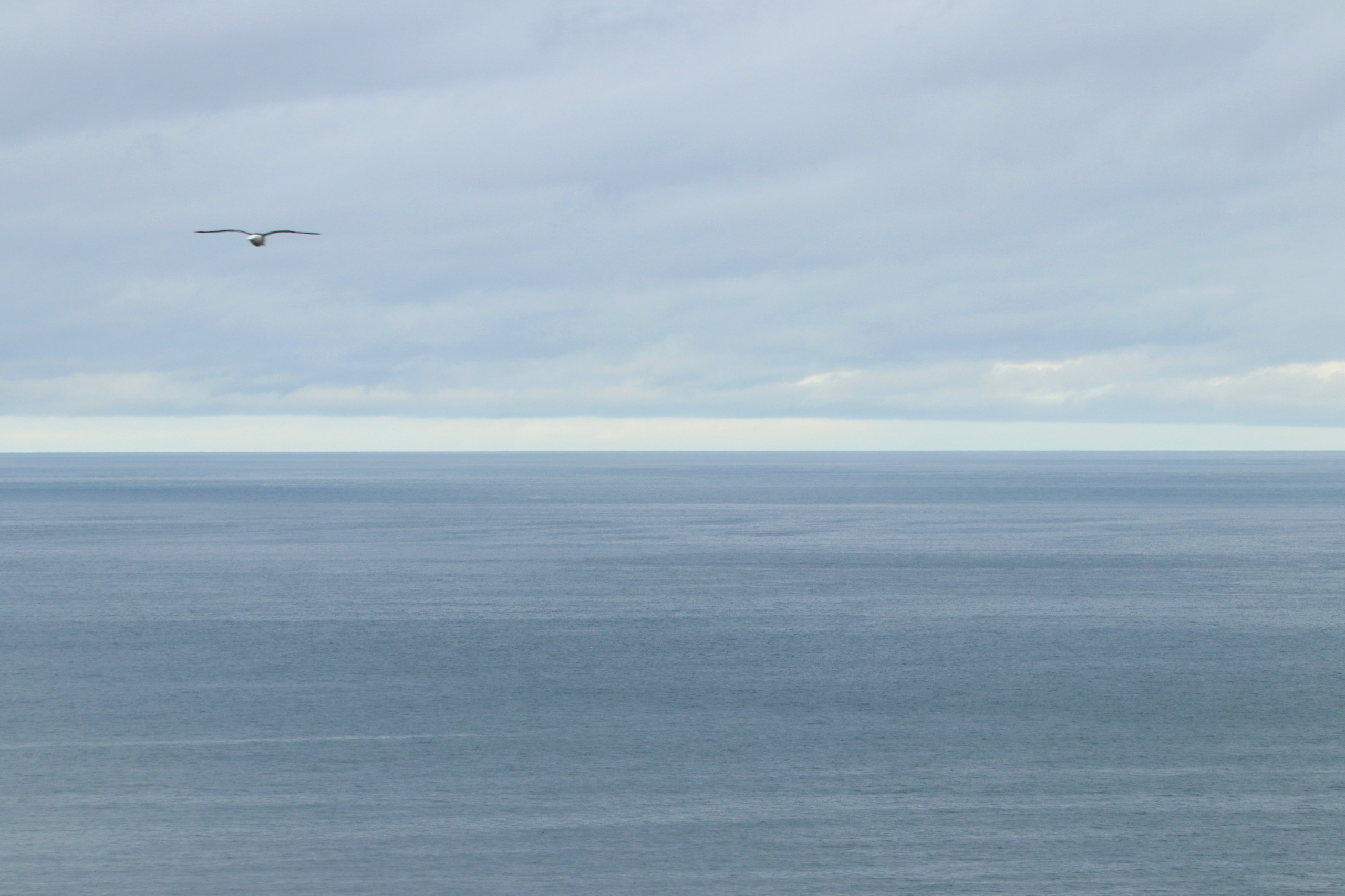 Камчатка и о. Парамушир. Июль 2024. Путешественник-фотограф из Санкт-Петербурга Татьяна Свистулина
