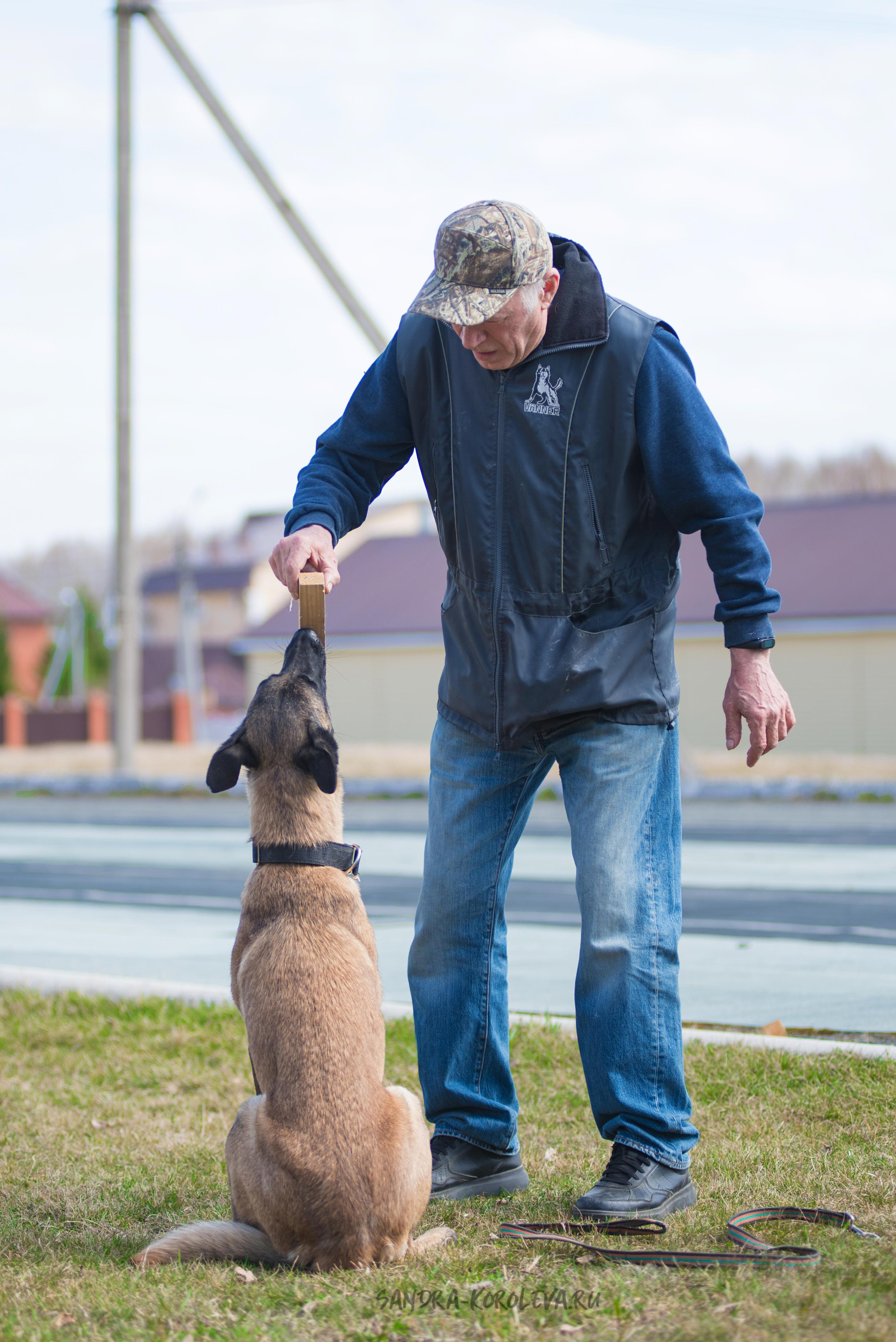 Тренинг с Сергеем Усковым май 2021 г.Тюмень. Дог-фотограф в Тюмени Александра Королева