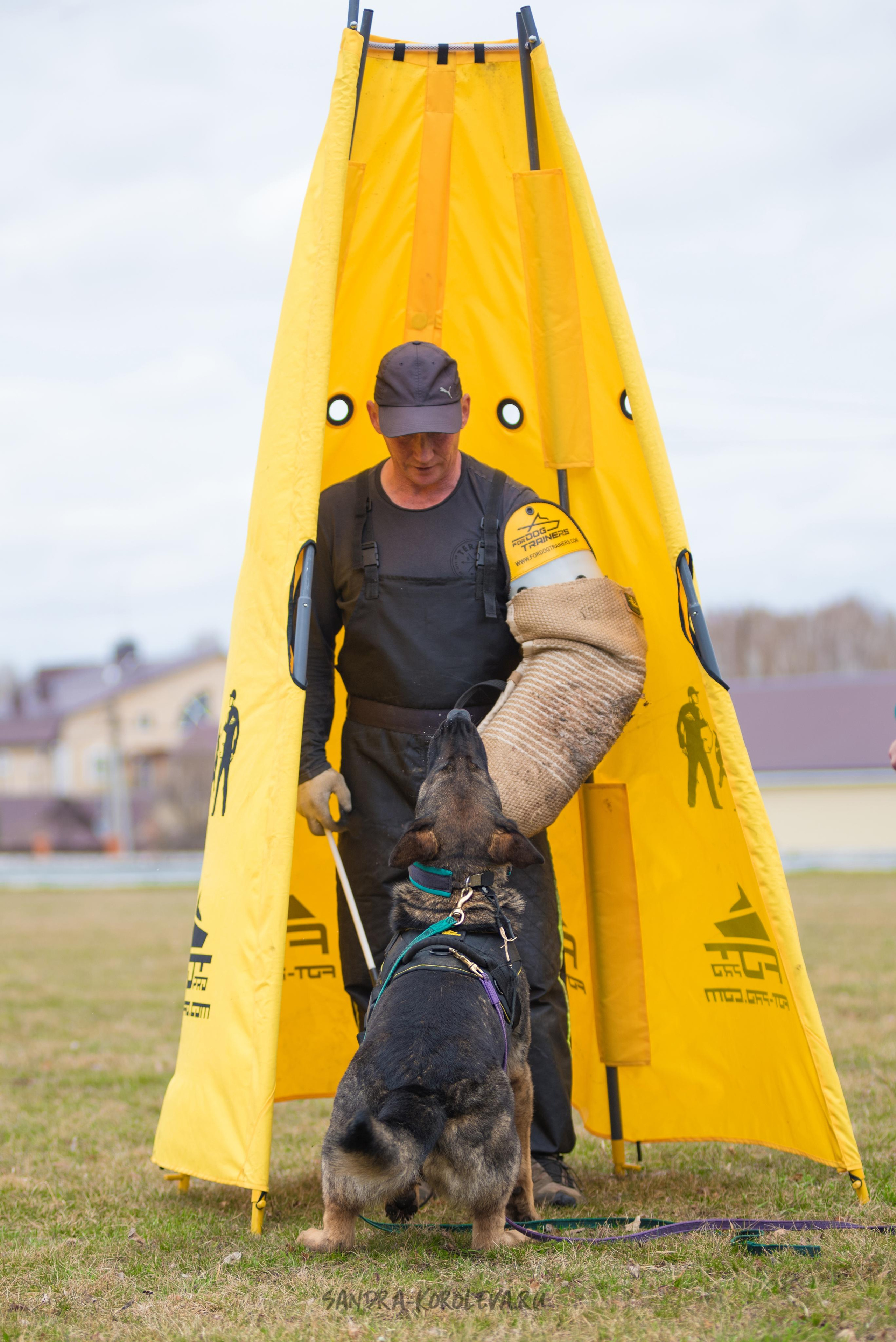 Тренинг с Сергеем Усковым май 2021 г.Тюмень. Дог-фотограф в Тюмени Александра Королева