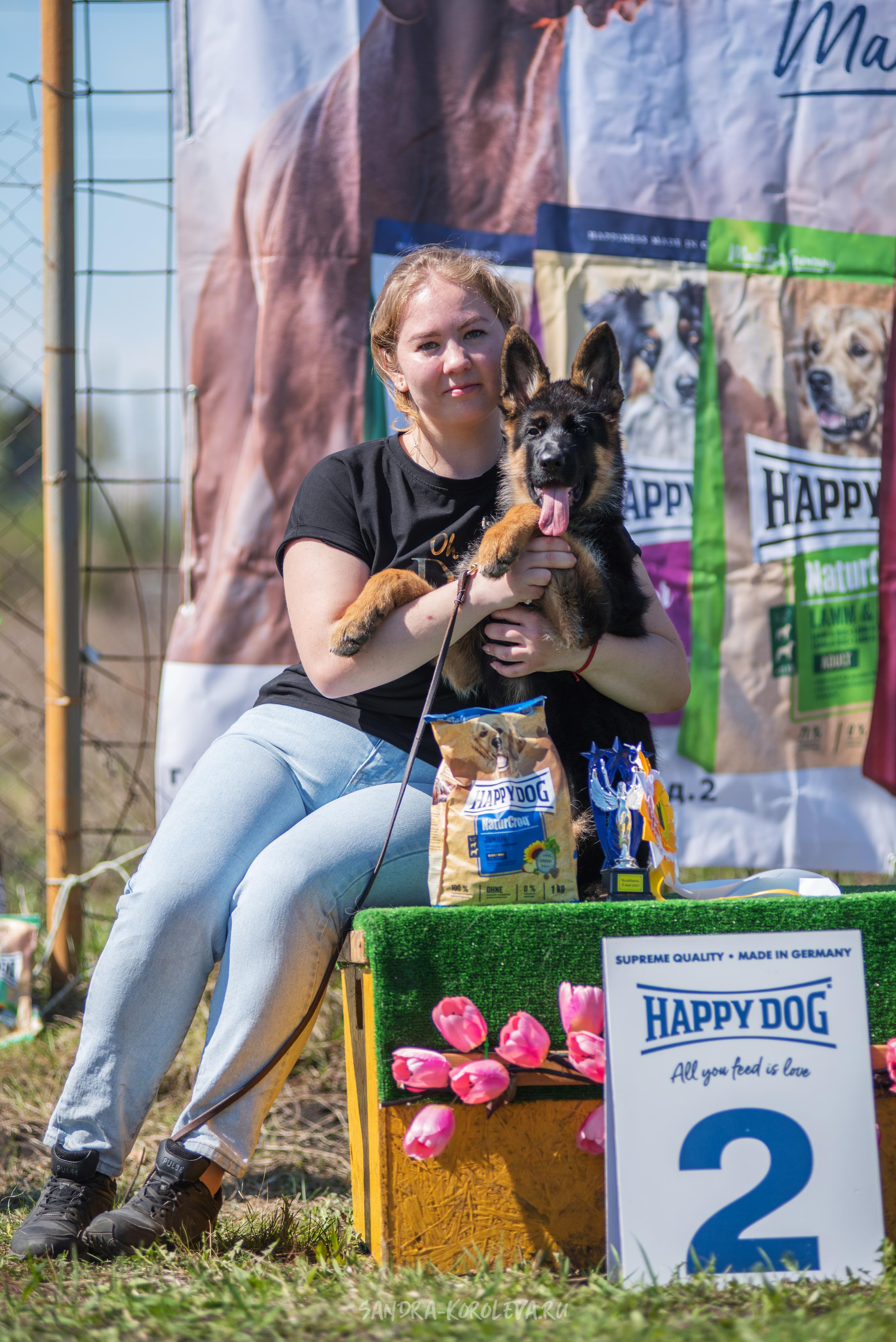 Монопородная выставка немецких овчарок 8 мая г. Челябинск. Дог-фотограф в Тюмени Александра Королева