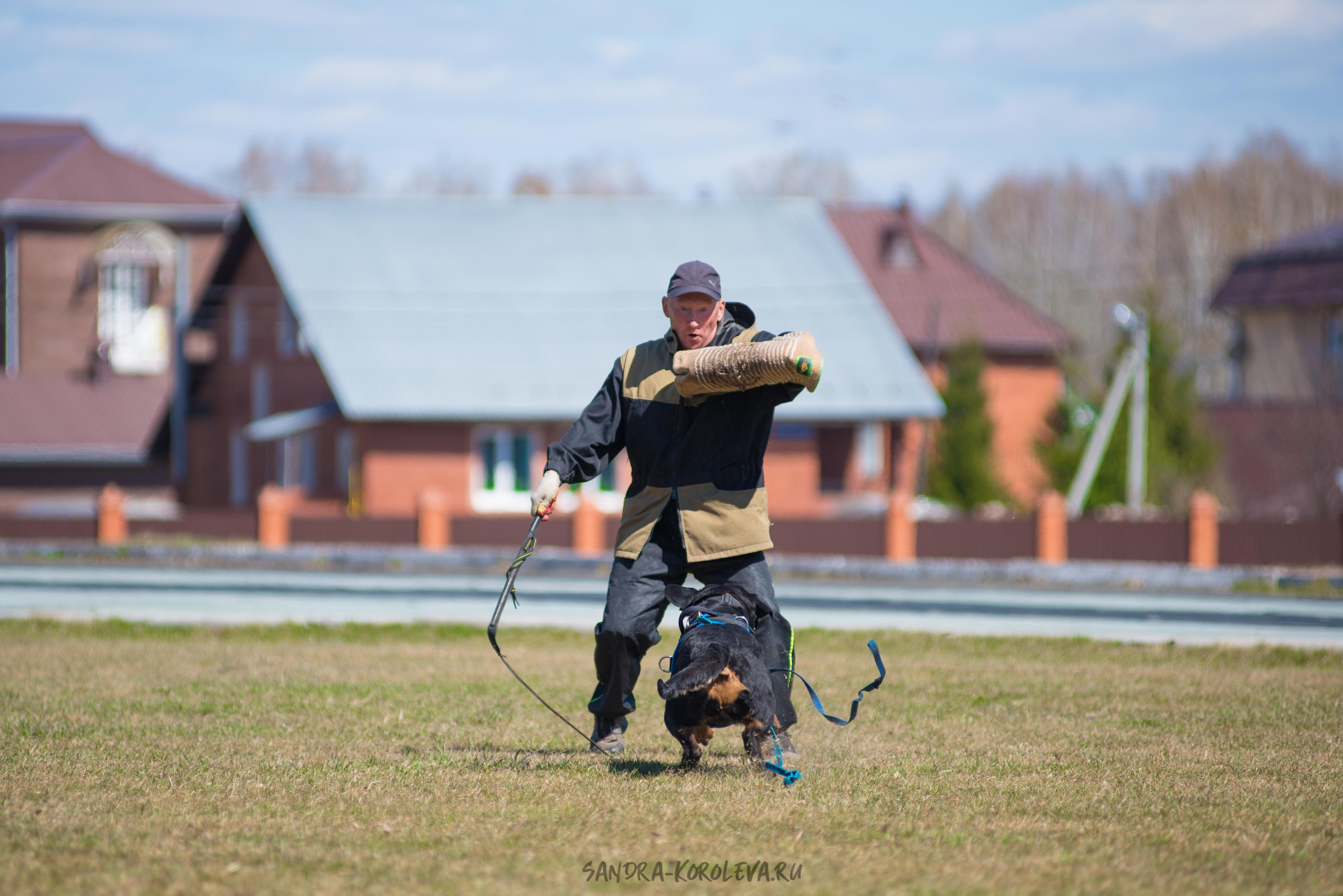 Тренинг с Сергеем Усковым май 2021 г.Тюмень. Дог-фотограф в Тюмени Александра Королева