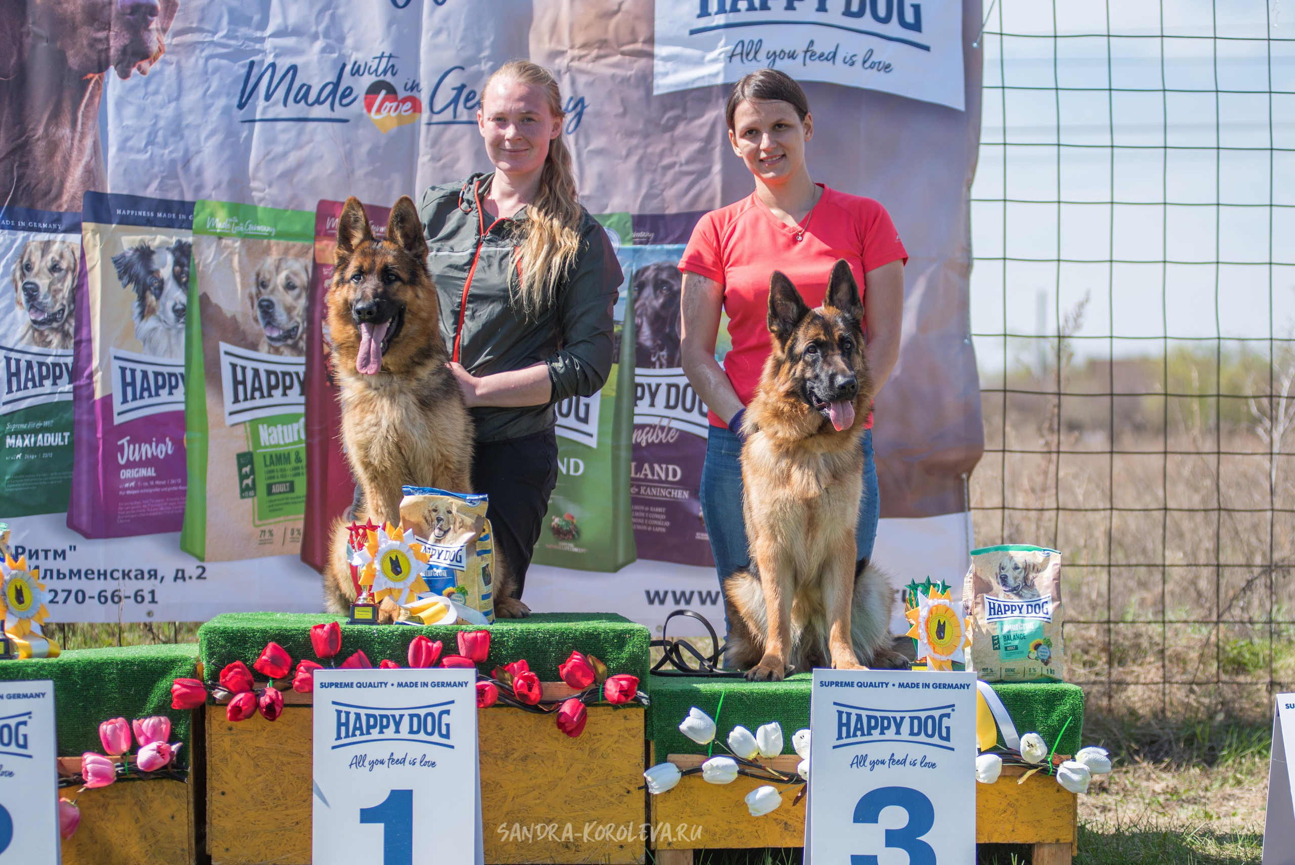 Монопородная выставка немецких овчарок 8 мая г. Челябинск. Дог-фотограф в Тюмени Александра Королева