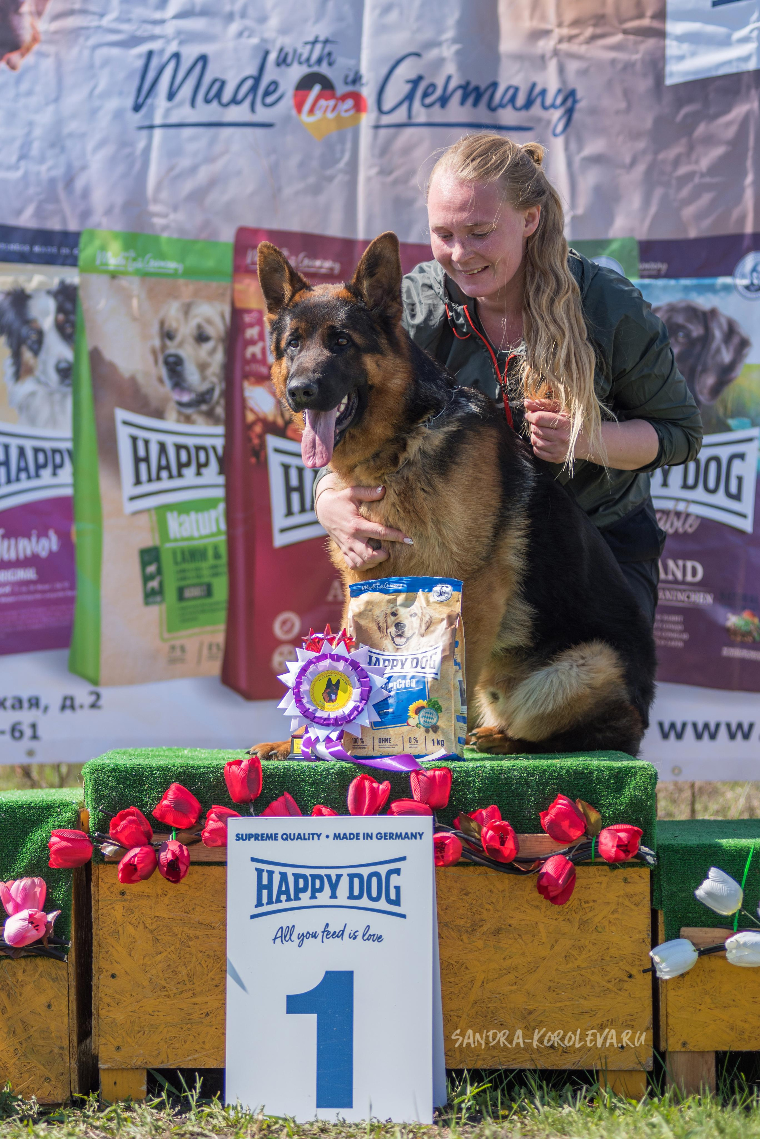 Монопородная выставка немецких овчарок 8 мая г. Челябинск. Дог-фотограф в Тюмени Александра Королева