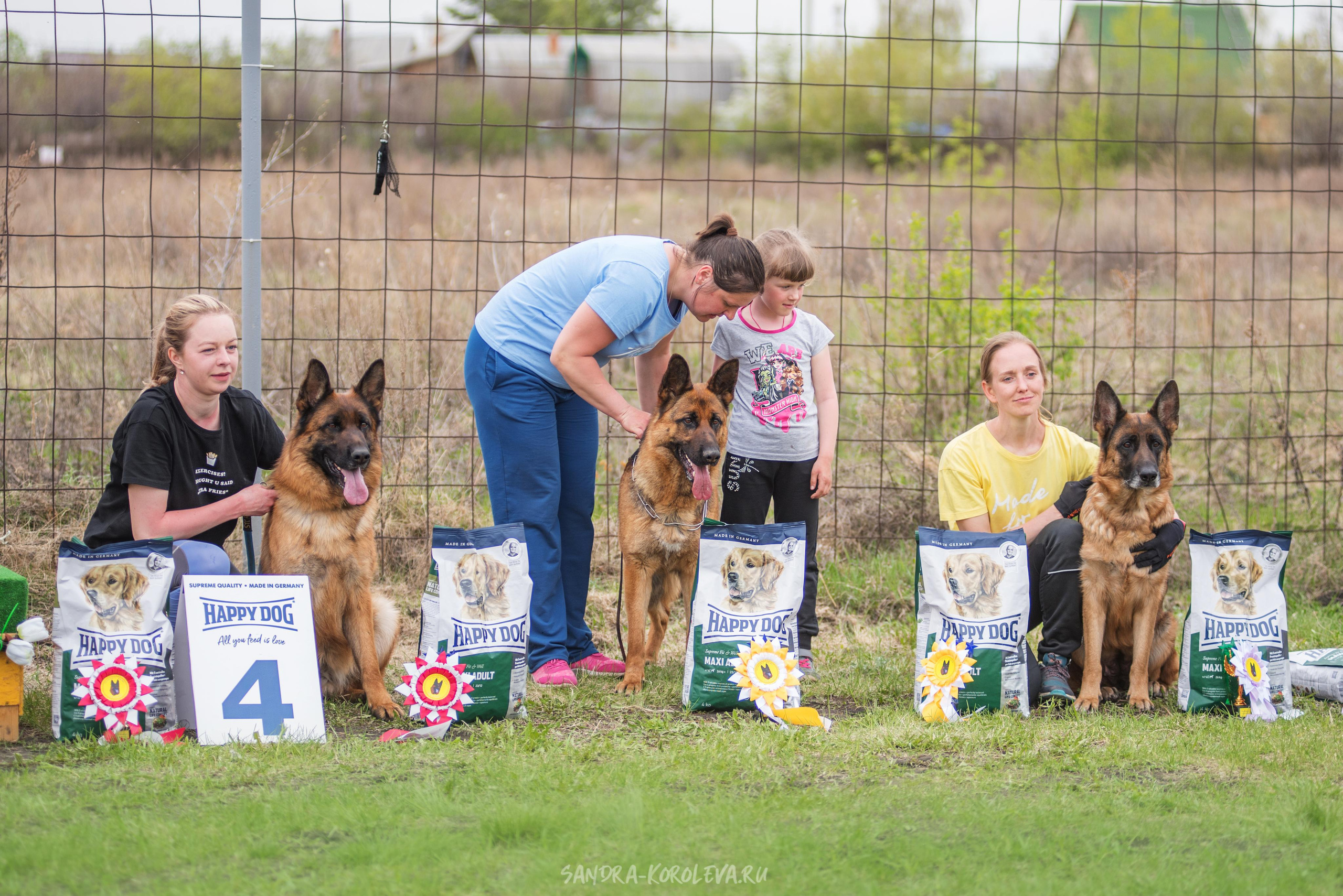 Монопородная выставка немецких овчарок 8 мая г. Челябинск. Дог-фотограф в Тюмени Александра Королева
