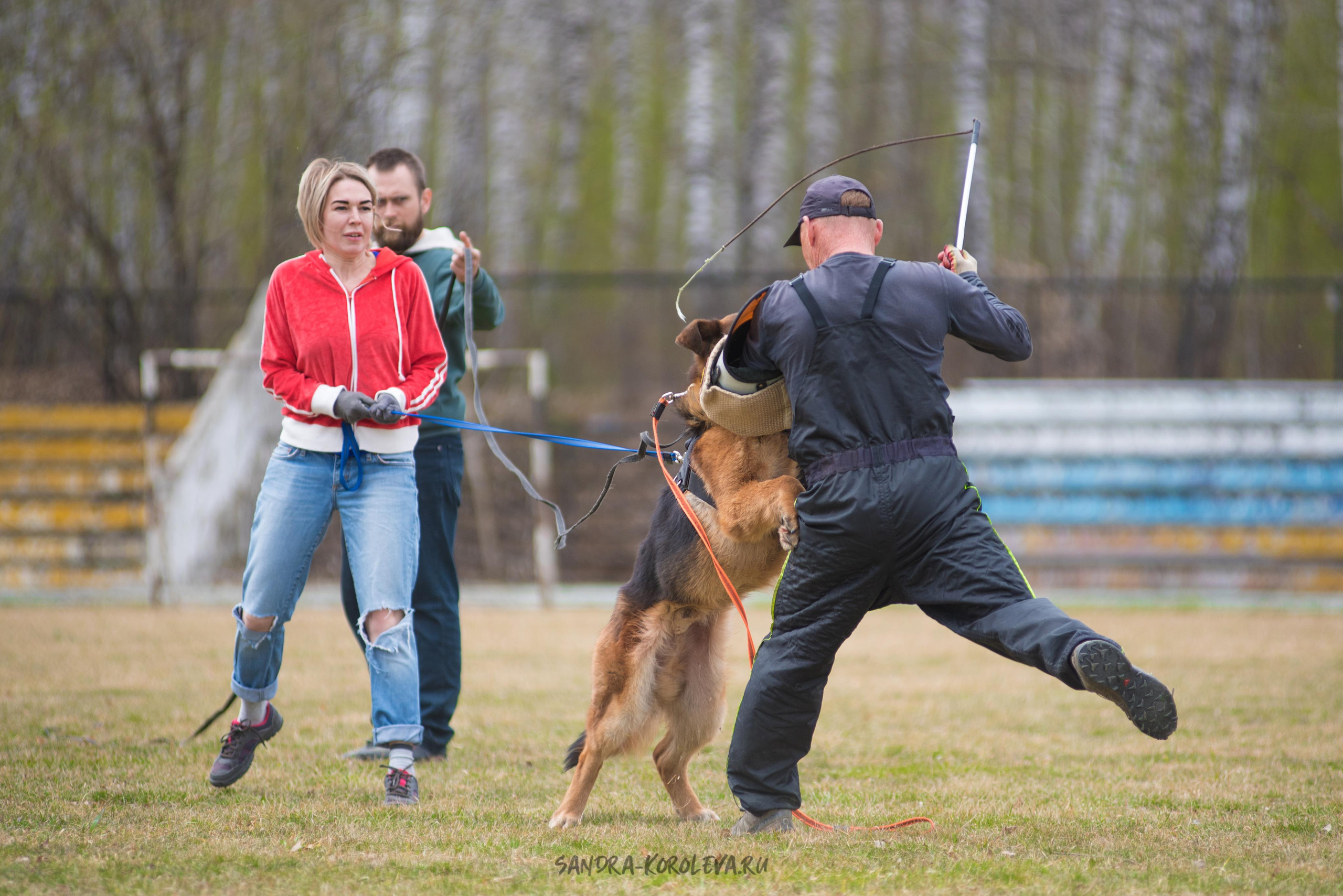 Тренинг с Сергеем Усковым май 2021 г.Тюмень. Дог-фотограф в Тюмени Александра Королева