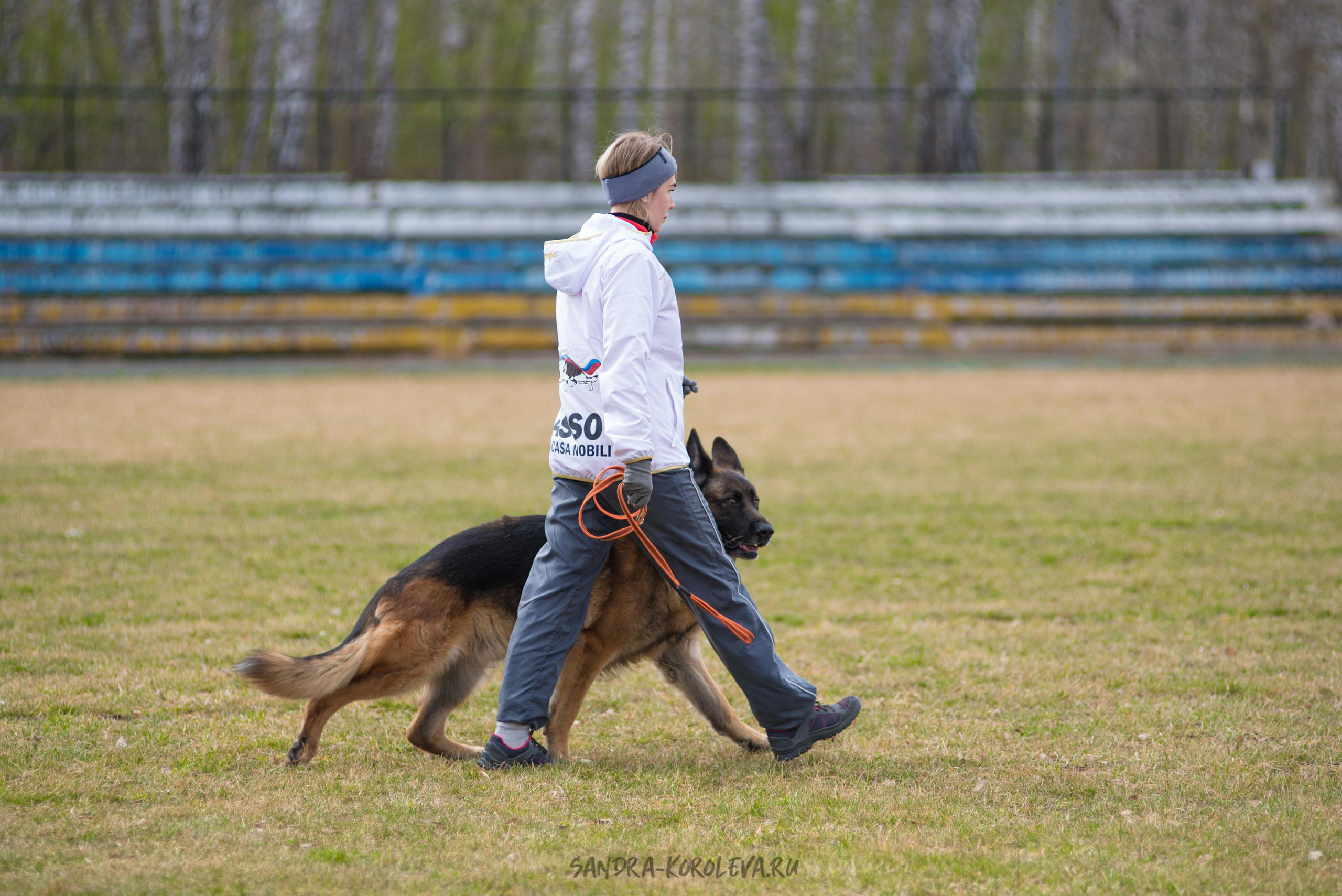 Тренинг с Сергеем Усковым май 2021 г.Тюмень. Дог-фотограф в Тюмени Александра Королева