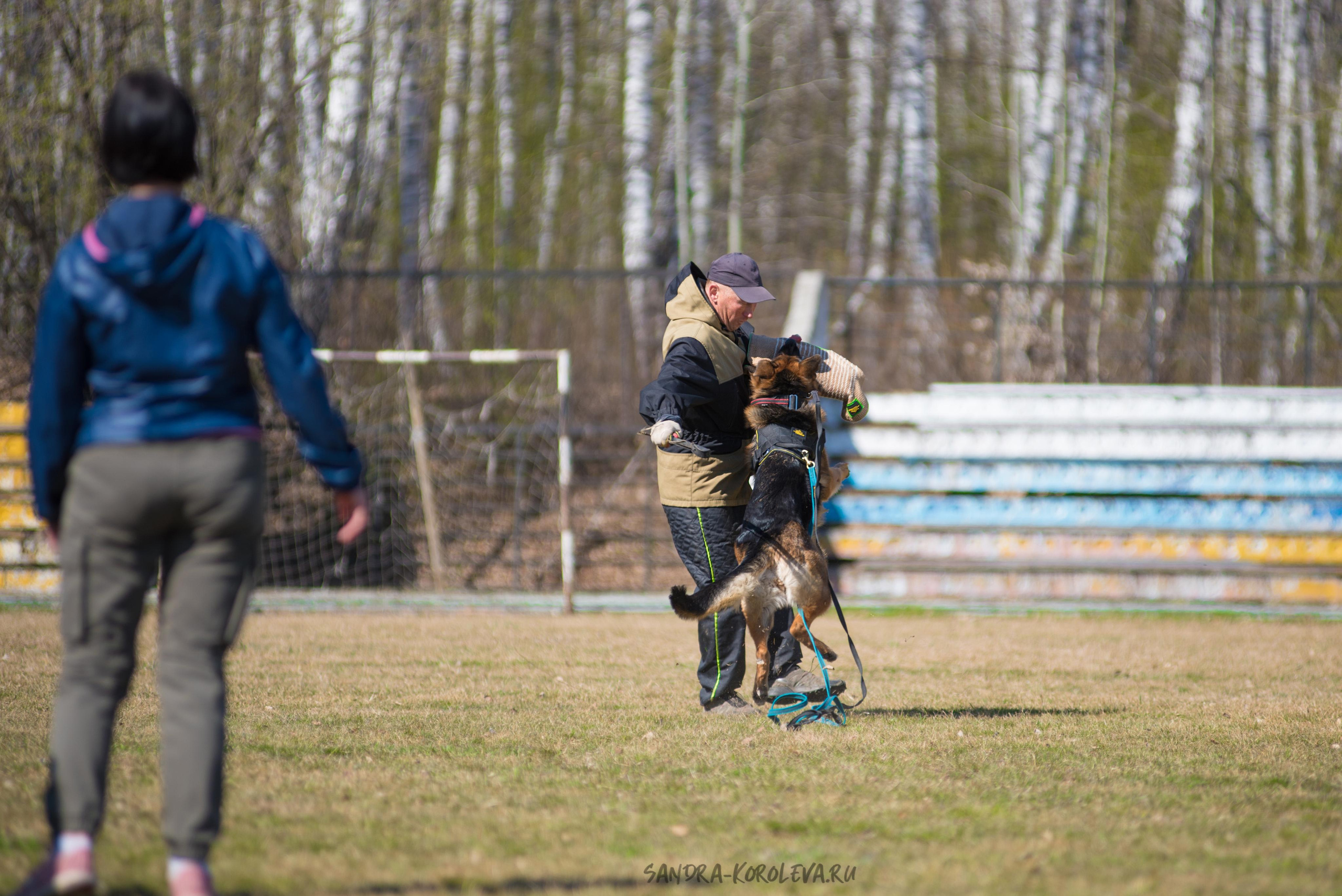 Тренинг с Сергеем Усковым май 2021 г.Тюмень. Дог-фотограф в Тюмени Александра Королева