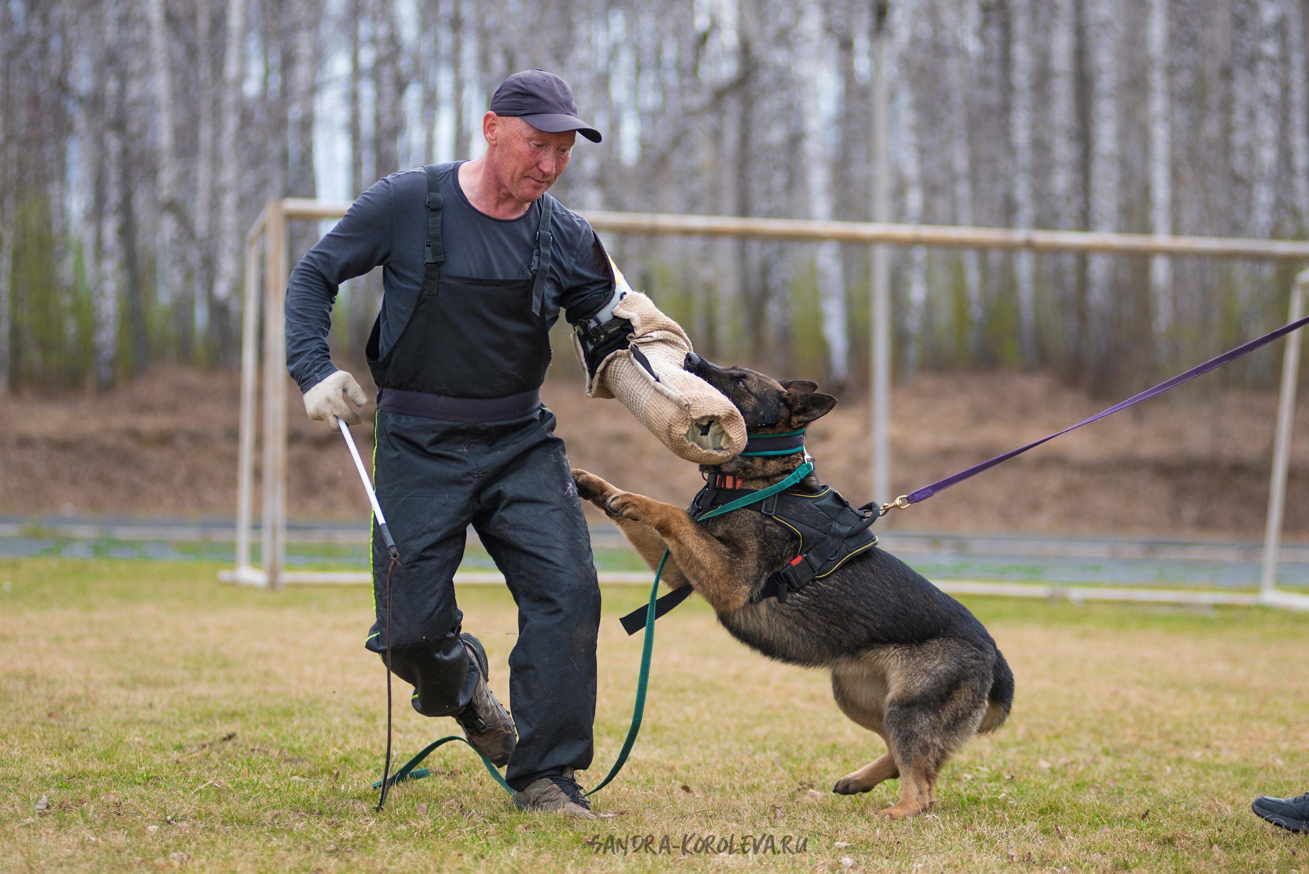 Тренинг с Сергеем Усковым май 2021 г.Тюмень. Дог-фотограф в Тюмени Александра Королева