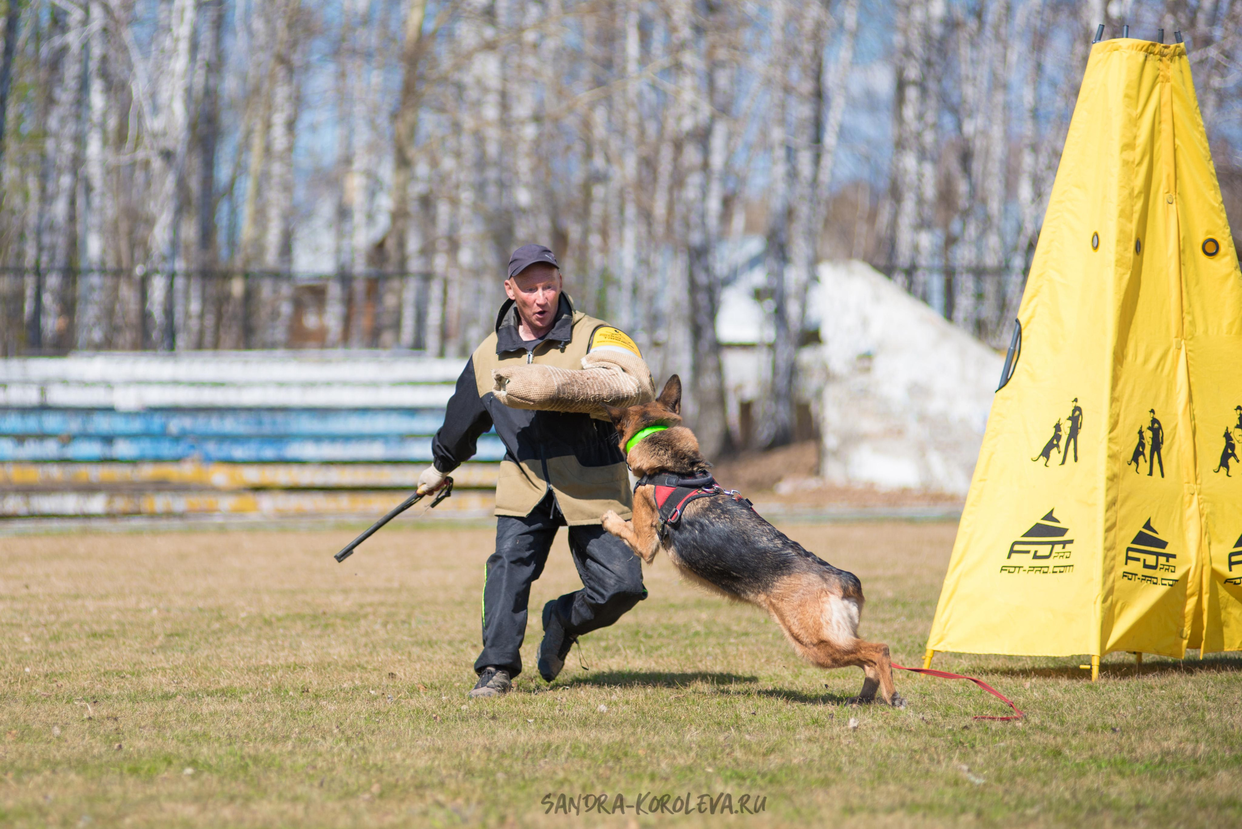Тренинг с Сергеем Усковым май 2021 г.Тюмень. Дог-фотограф в Тюмени Александра Королева