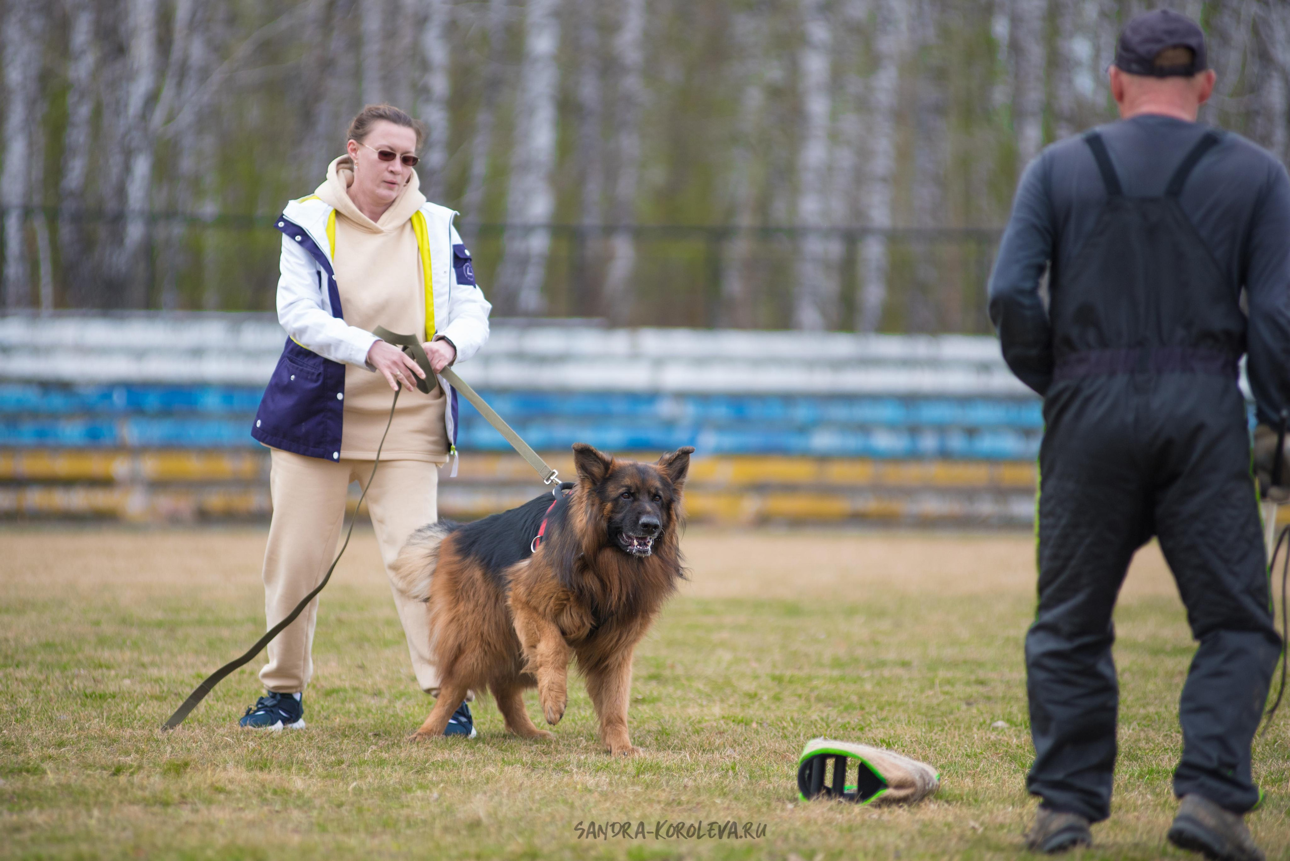 Тренинг с Сергеем Усковым май 2021 г.Тюмень. Дог-фотограф в Тюмени Александра Королева