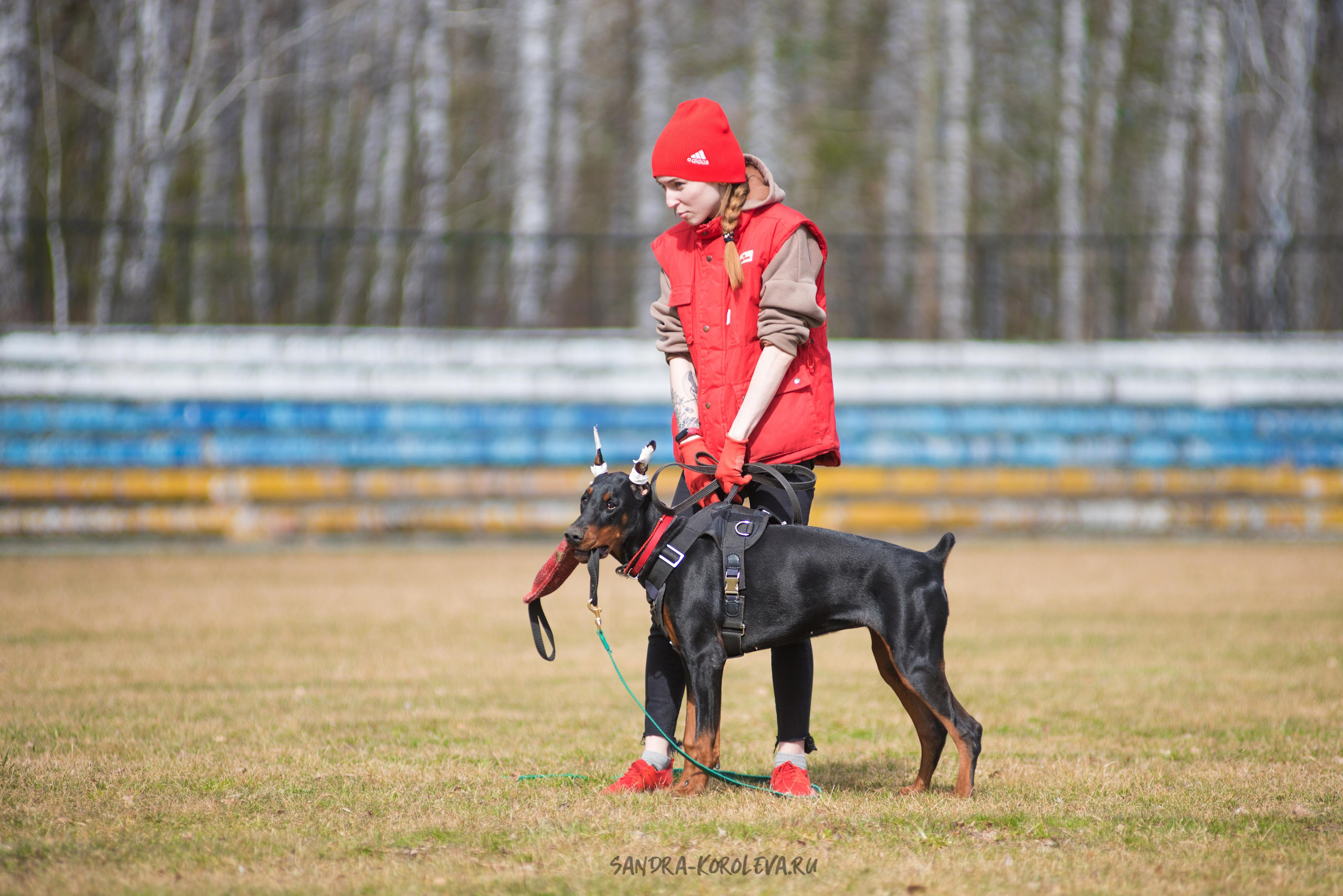 Тренинг с Сергеем Усковым май 2021 г.Тюмень. Дог-фотограф в Тюмени Александра Королева