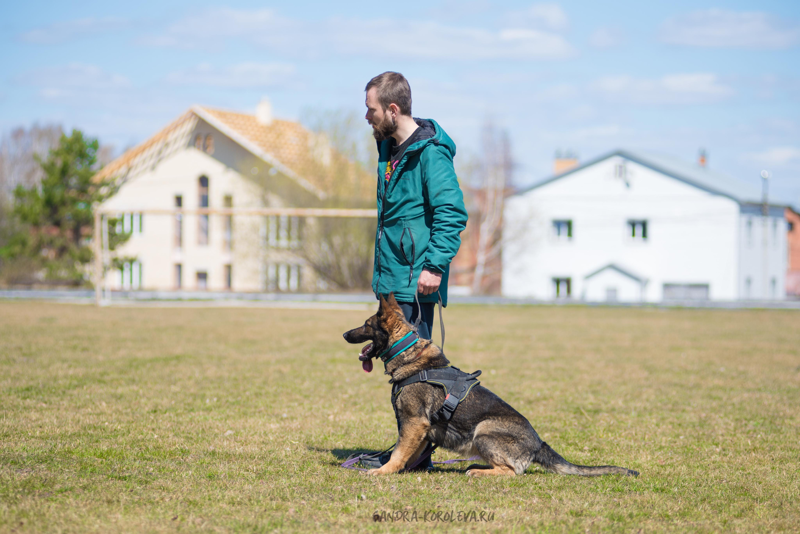 Тренинг с Сергеем Усковым май 2021 г.Тюмень. Дог-фотограф в Тюмени Александра Королева