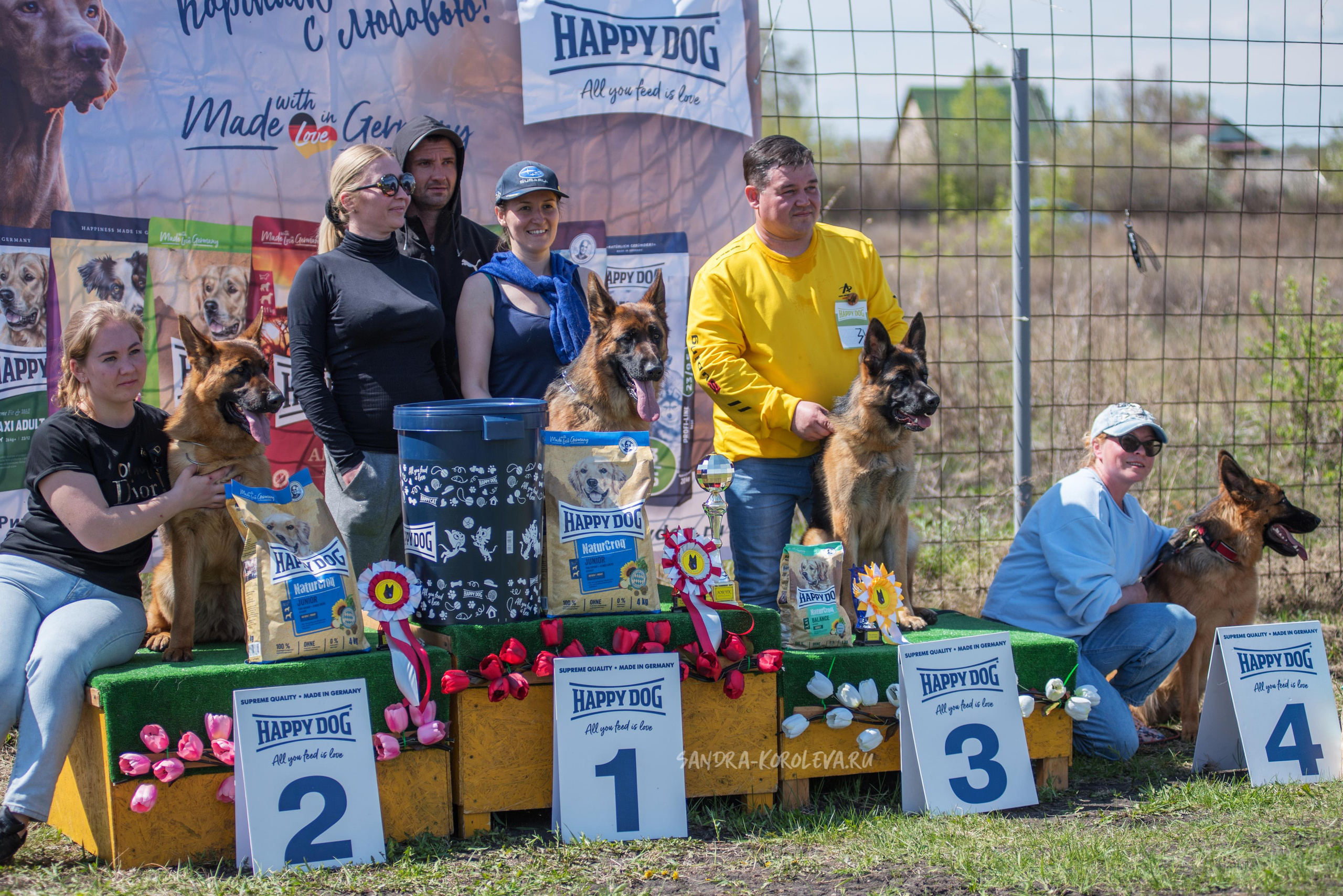 Монопородная выставка немецких овчарок 8 мая г. Челябинск. Дог-фотограф в Тюмени Александра Королева