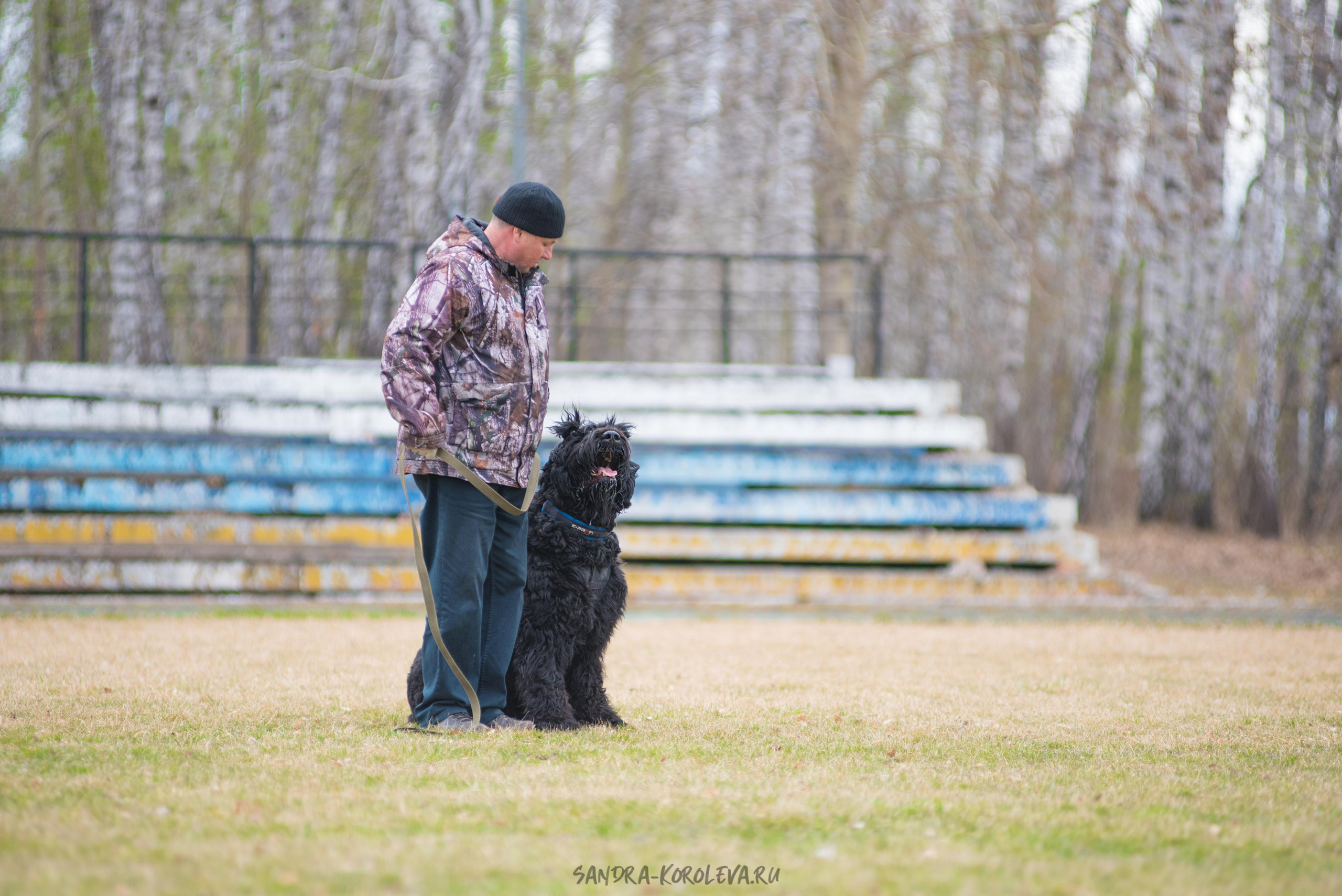 Тренинг с Сергеем Усковым май 2021 г.Тюмень. Дог-фотограф в Тюмени Александра Королева