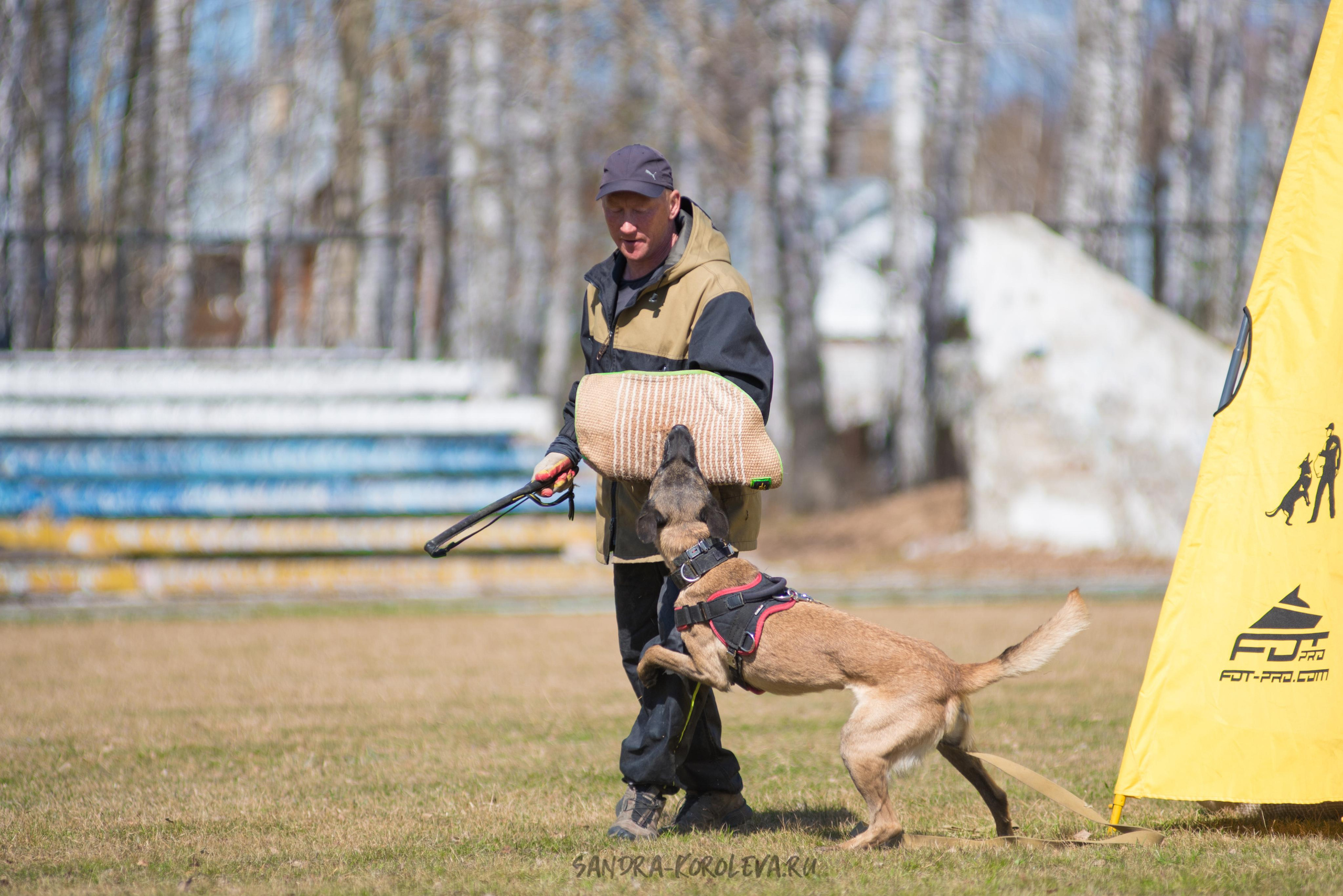 Тренинг с Сергеем Усковым май 2021 г.Тюмень. Дог-фотограф в Тюмени Александра Королева
