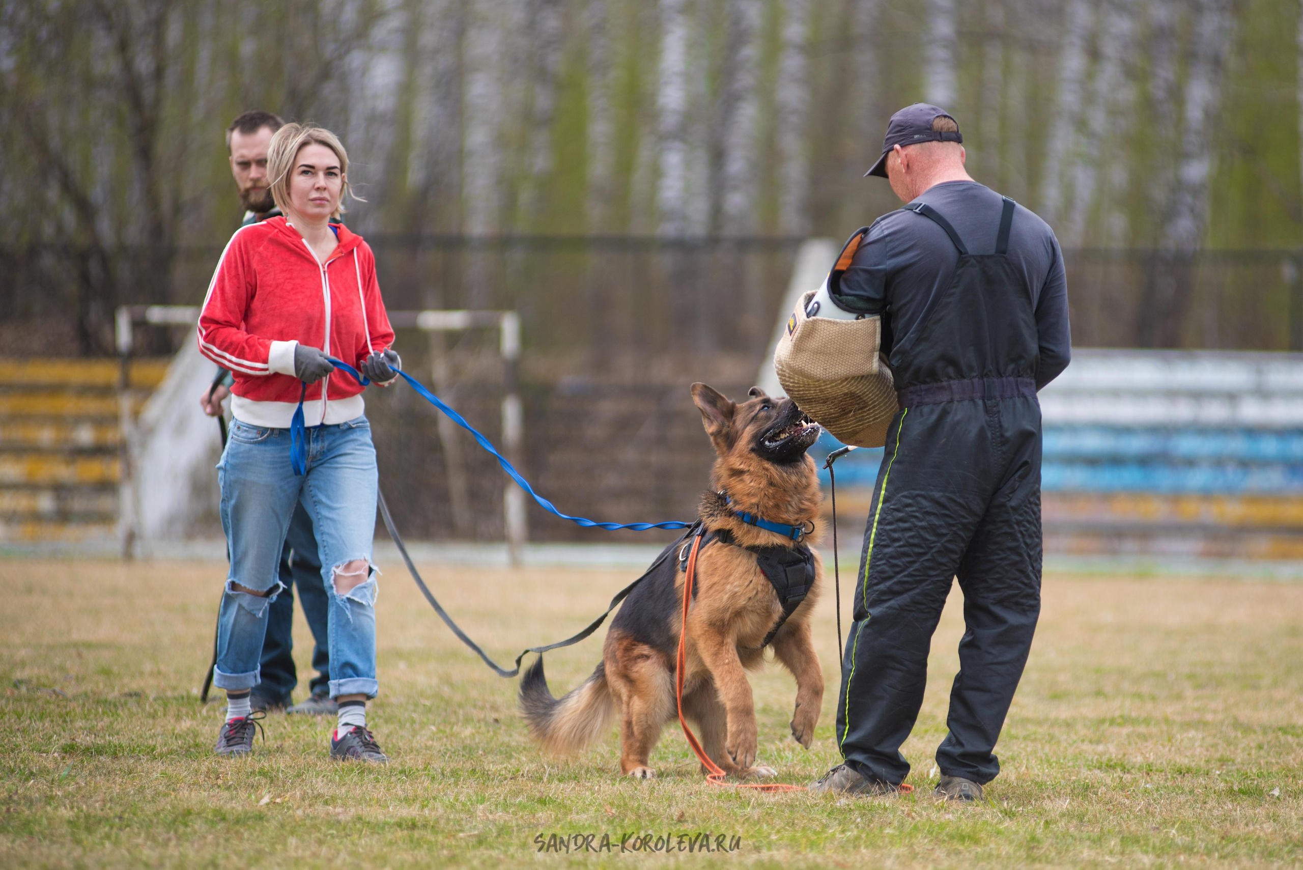 Тренинг с Сергеем Усковым май 2021 г.Тюмень. Дог-фотограф в Тюмени Александра Королева