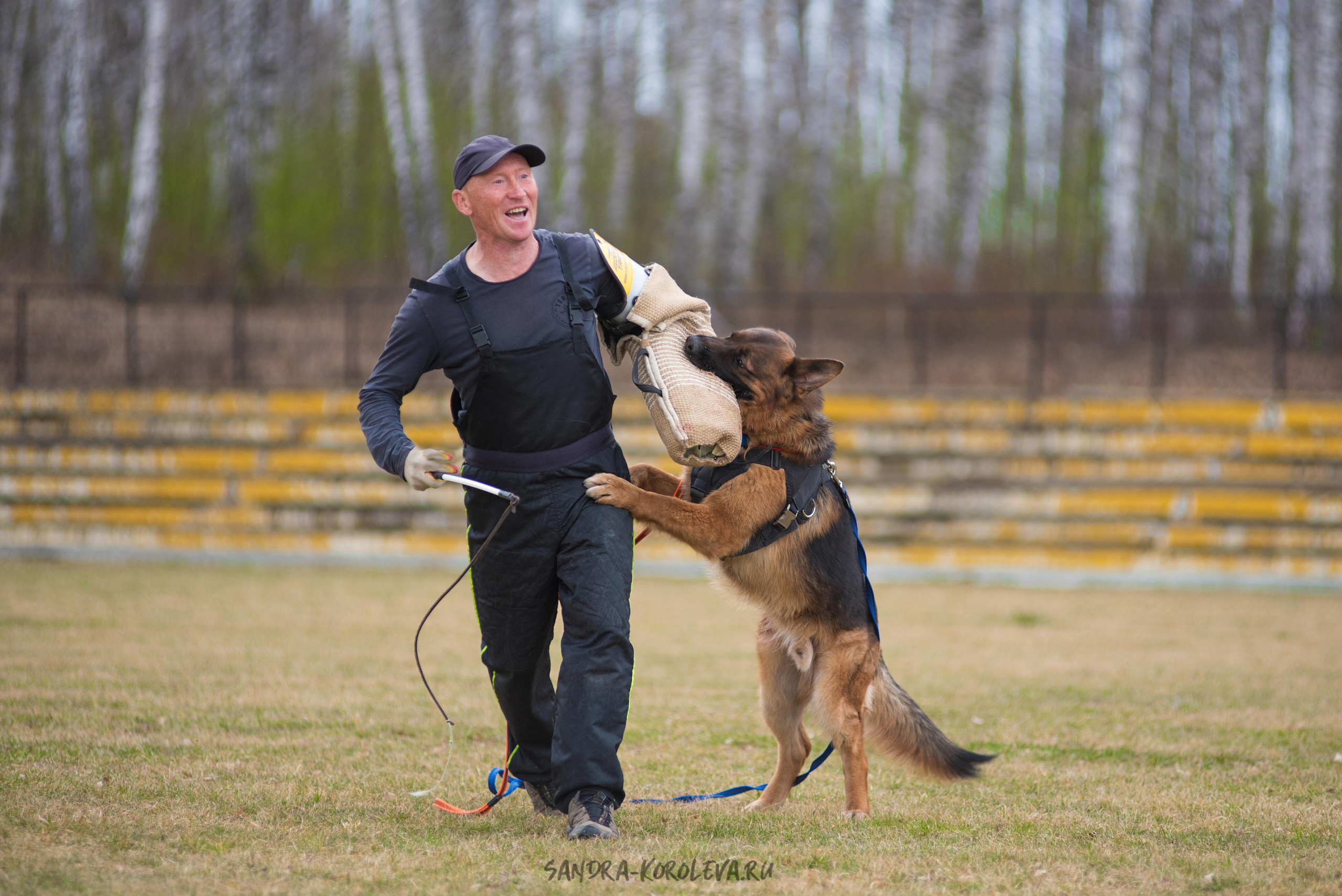 Тренинг с Сергеем Усковым май 2021 г.Тюмень. Дог-фотограф в Тюмени Александра Королева