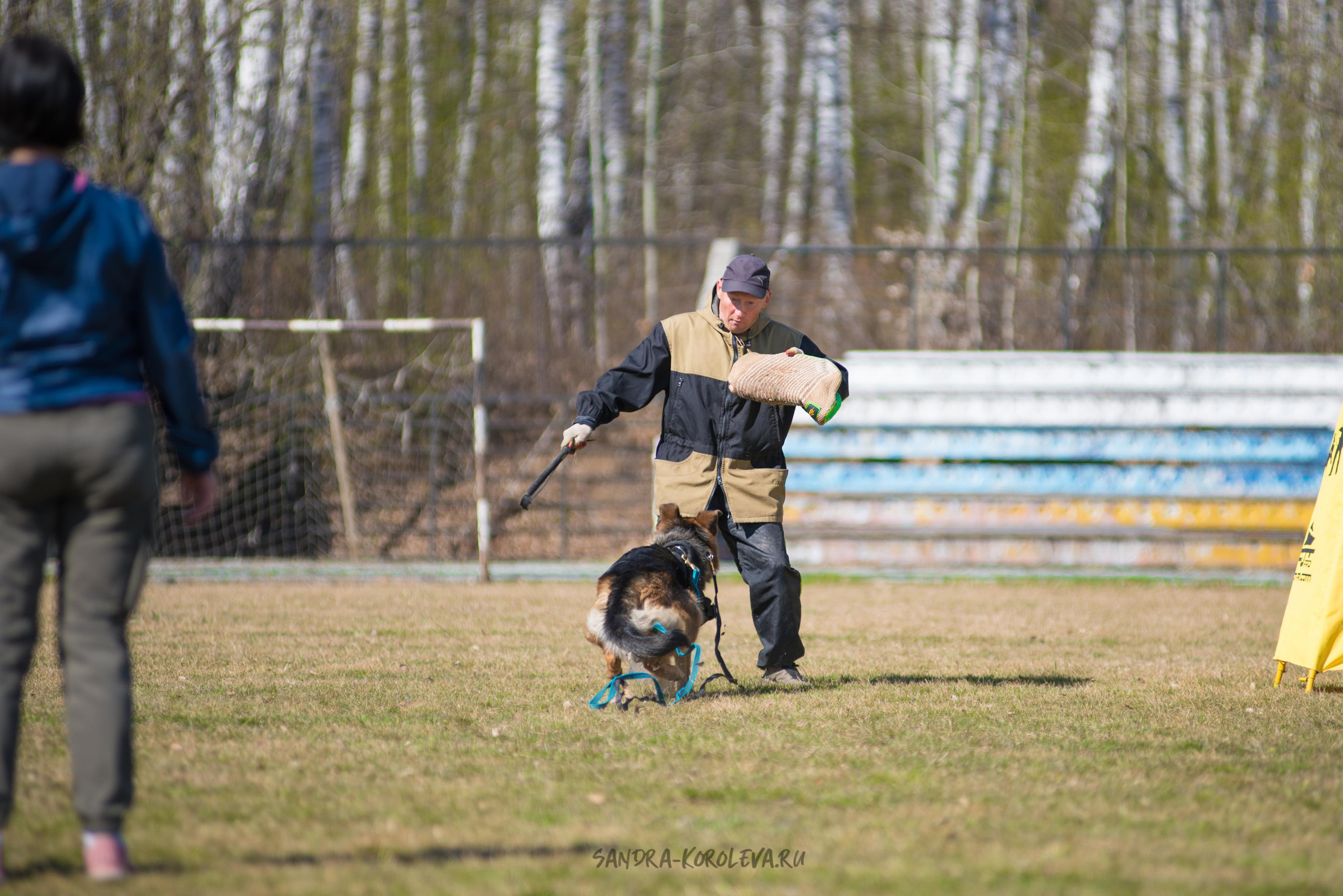 Тренинг с Сергеем Усковым май 2021 г.Тюмень. Дог-фотограф в Тюмени Александра Королева