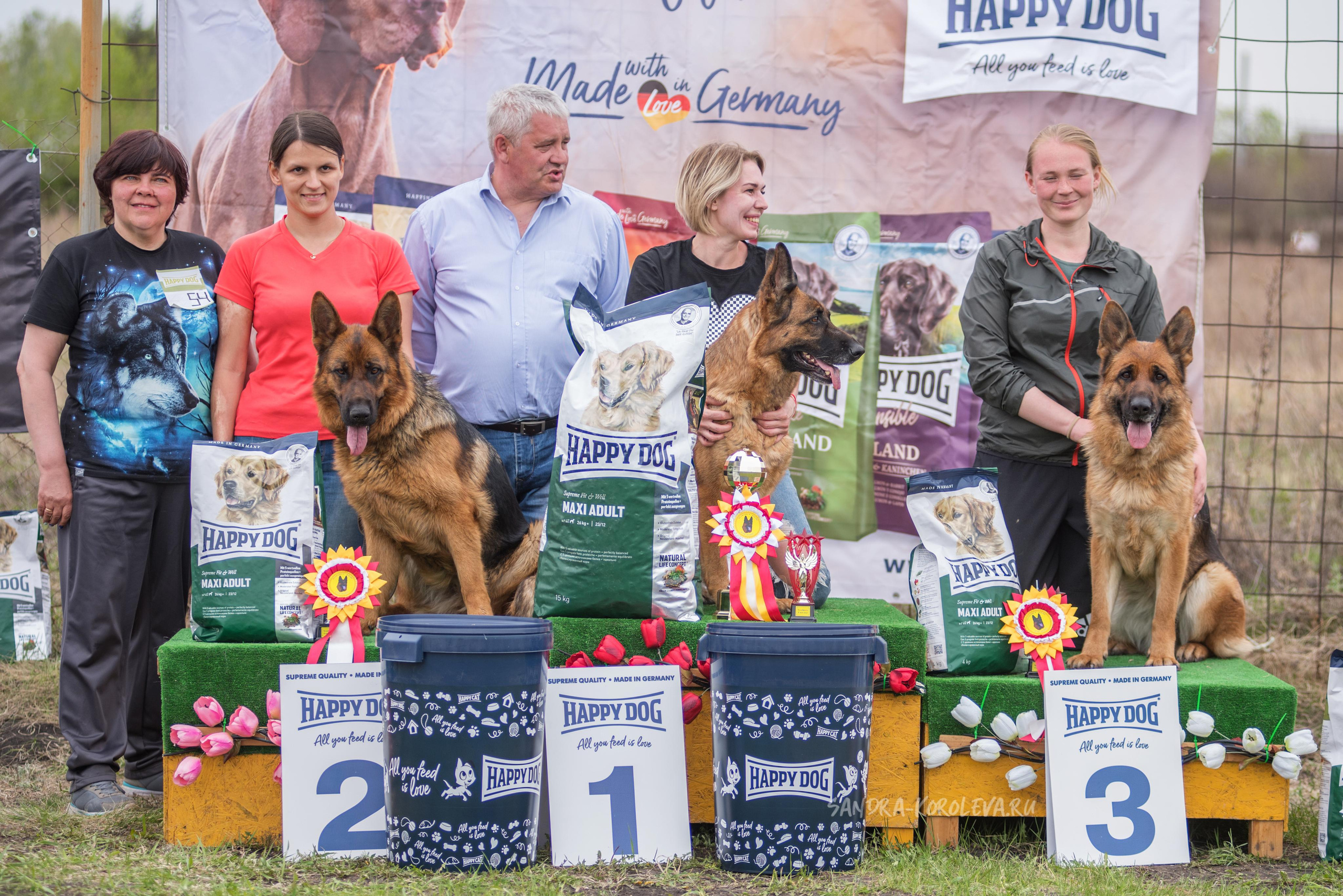 Монопородная выставка немецких овчарок 8 мая г. Челябинск. Дог-фотограф в Тюмени Александра Королева