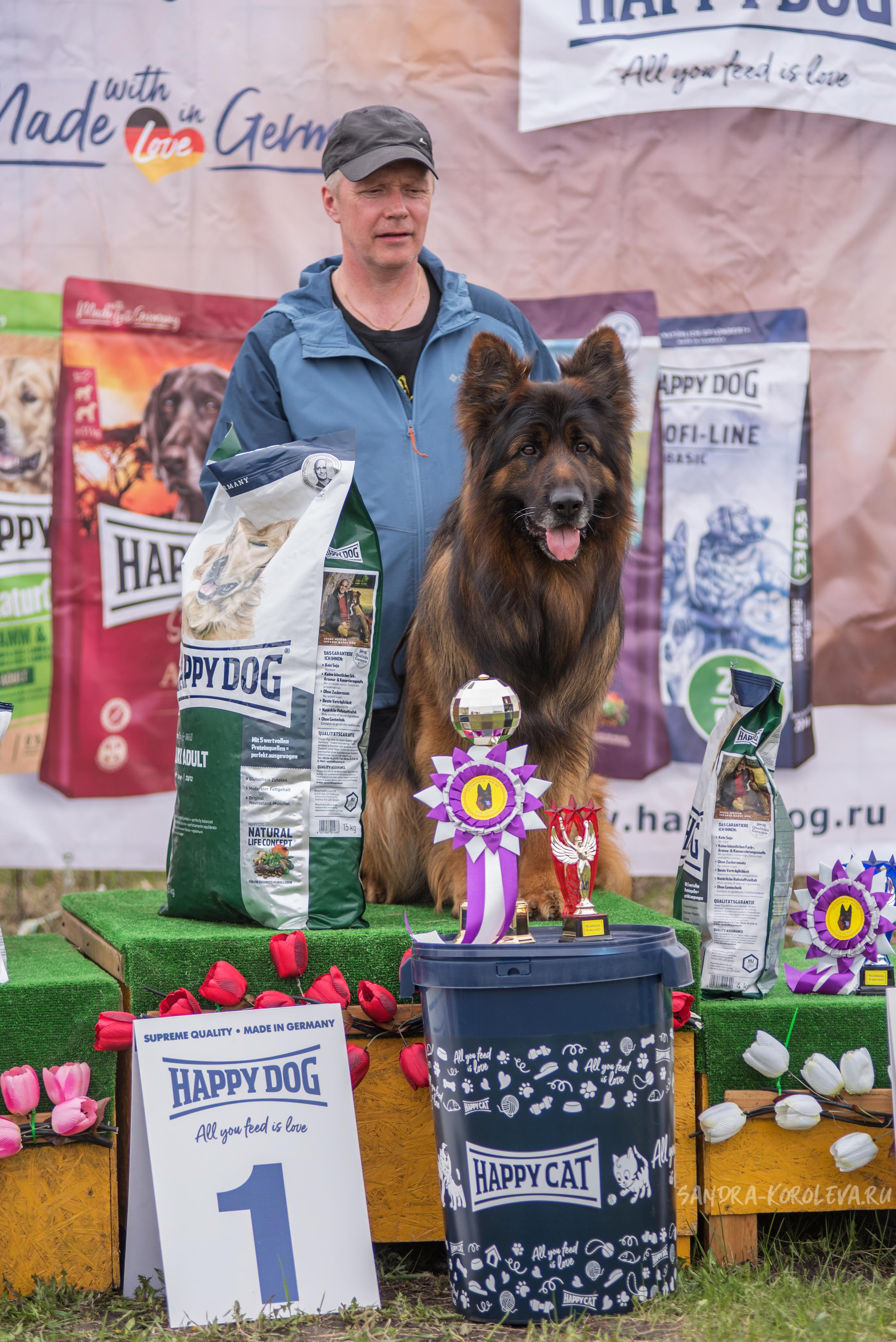 Монопородная выставка немецких овчарок 8 мая г. Челябинск. Дог-фотограф в Тюмени Александра Королева