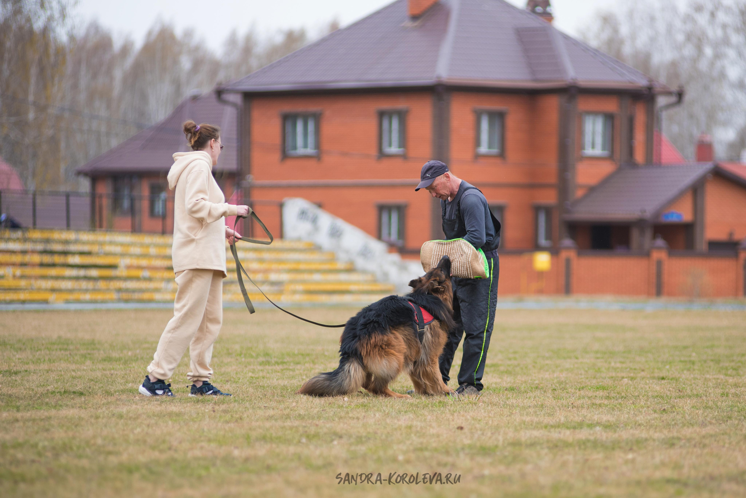 Тренинг с Сергеем Усковым май 2021 г.Тюмень. Дог-фотограф в Тюмени Александра Королева