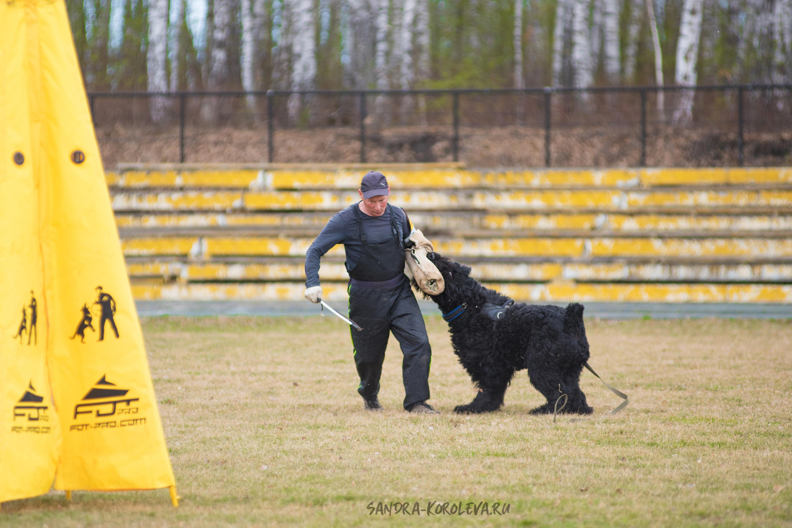 Тренинг с Сергеем Усковым май 2021 г.Тюмень. Дог-фотограф в Тюмени Александра Королева